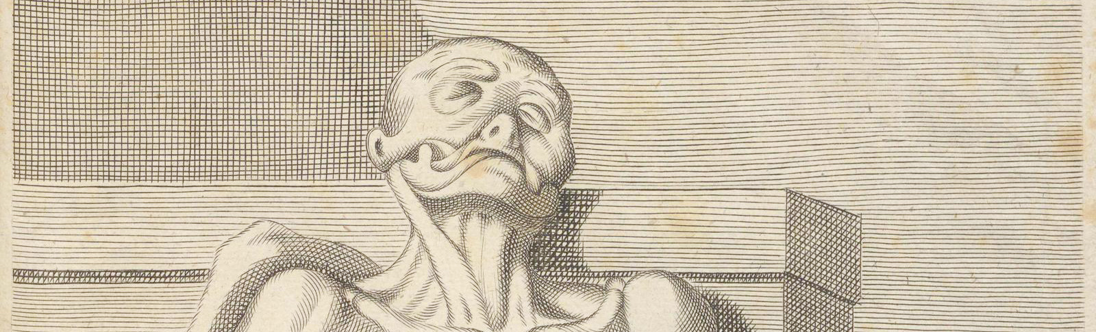 Фоновое изображение Ясное показание и основательное представление о анатомии живописцев