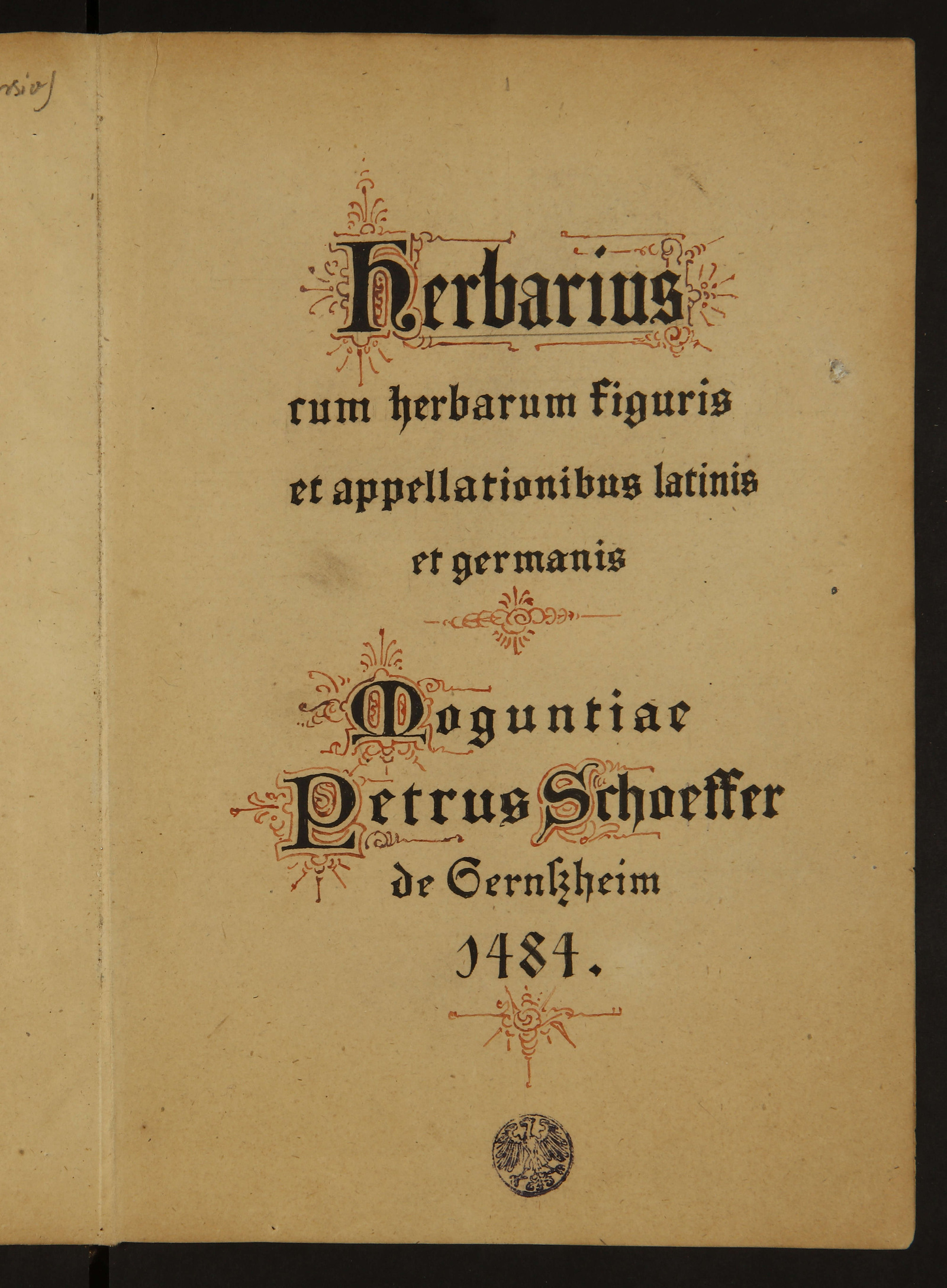 Изображение Herbarius Cum synonymis Germanicis
