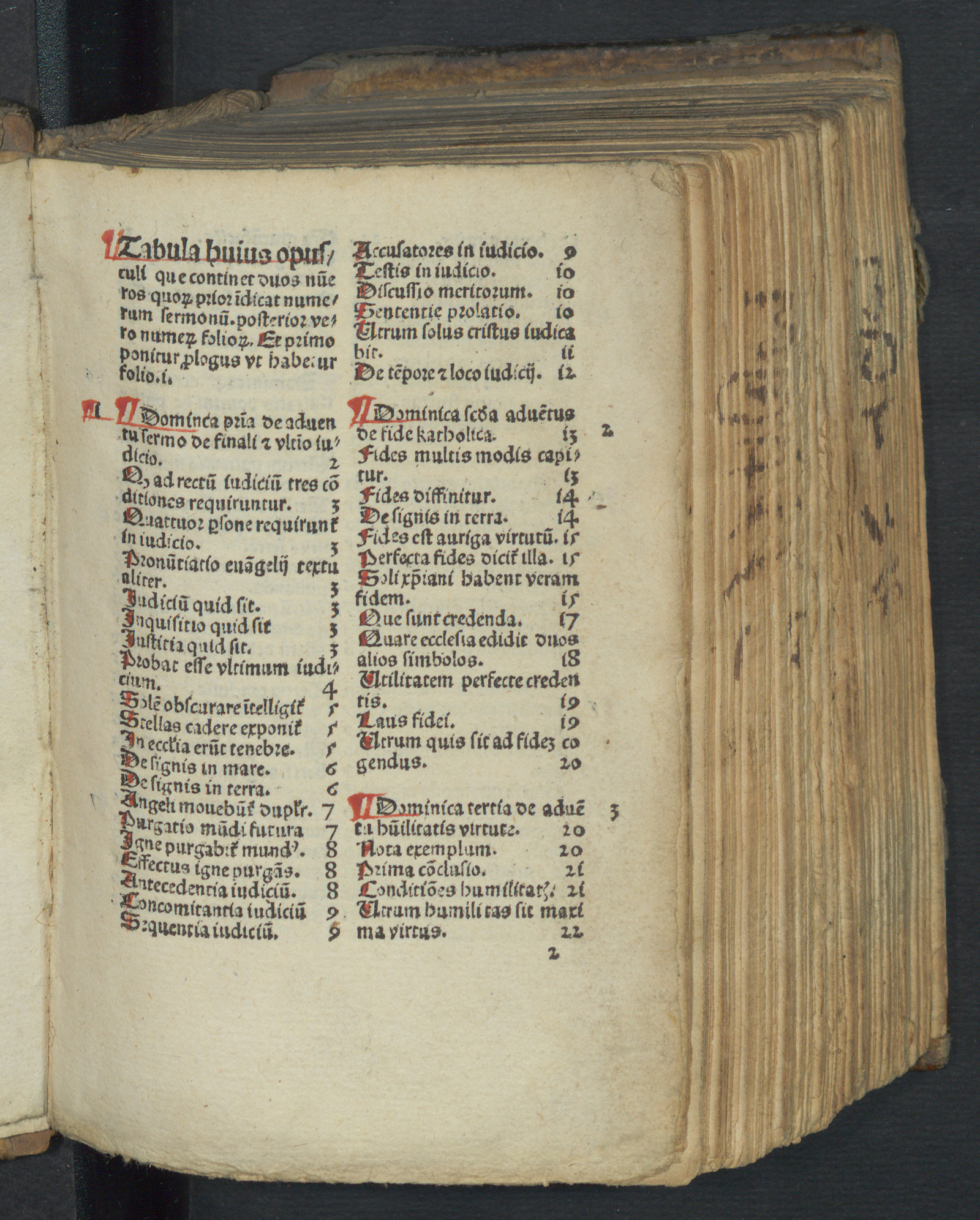 Изображение Sermones dominicales per totum annum
