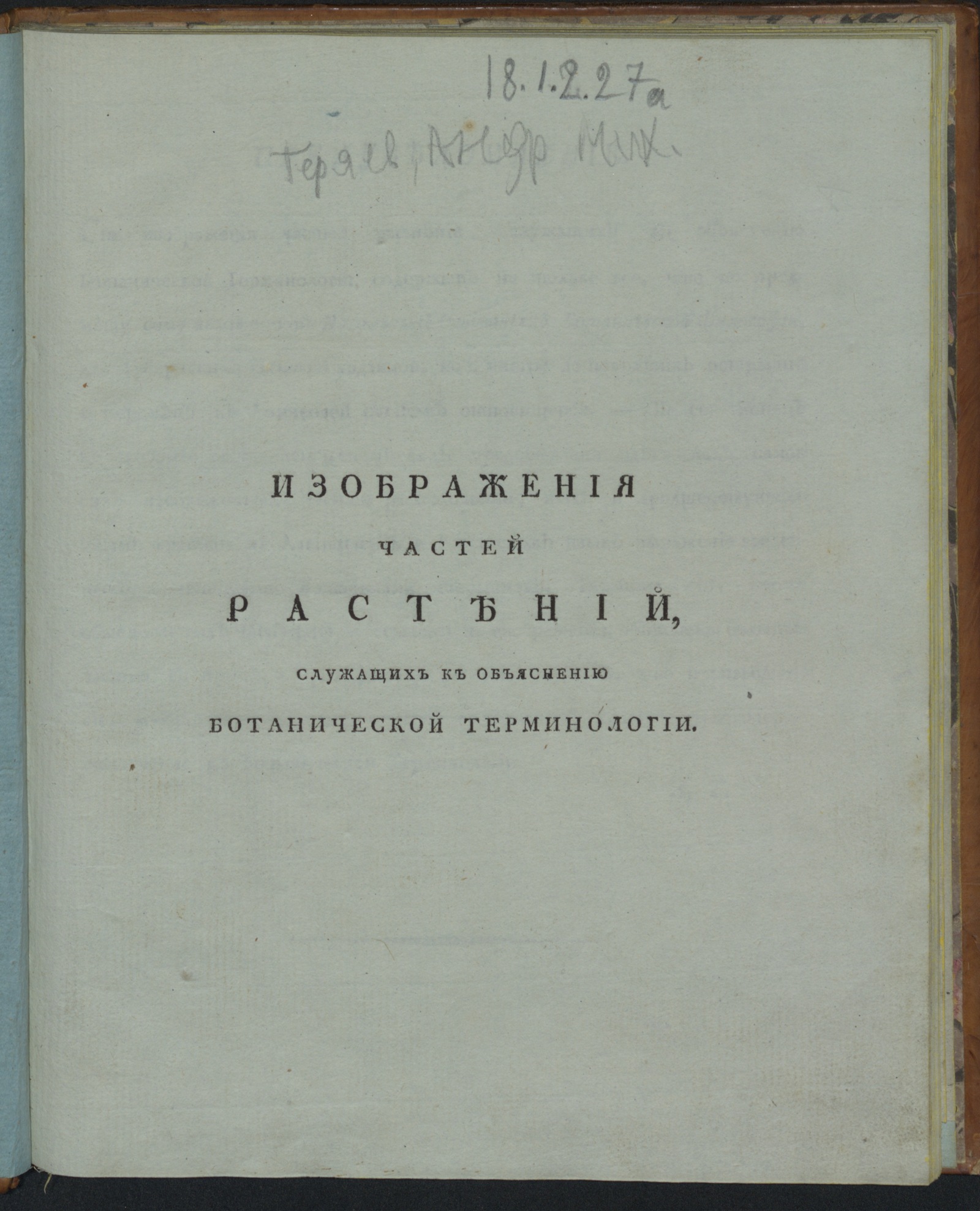 Изображение Изображения частей растений, служащих к объяснению ботанической терминологии