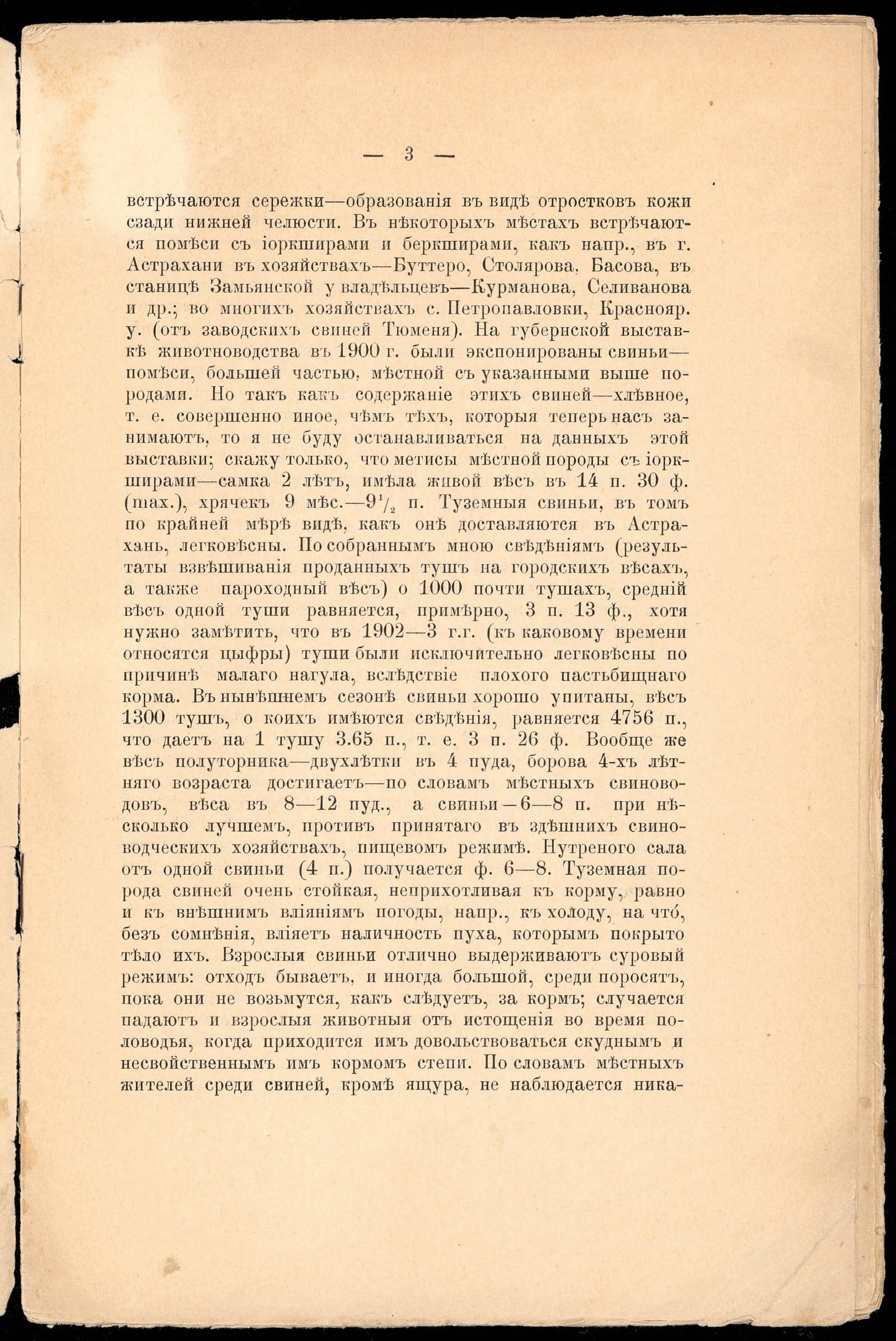 Изображение Несколько слов о свиноводстве Южной части Астраханской губернии.