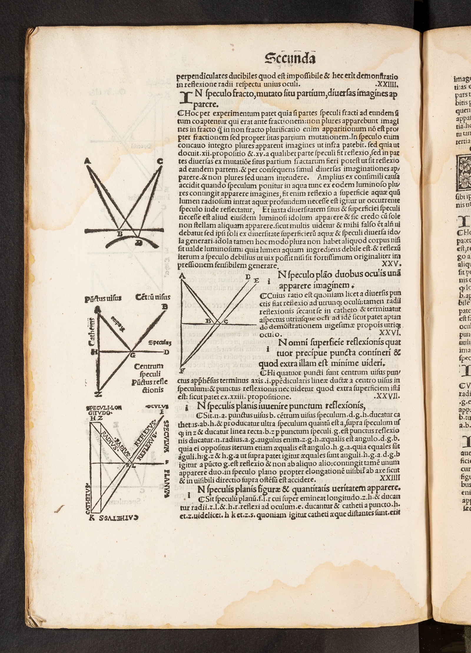 Изображение Jo. Archiepiscopi Cantuarensis Perspectiua communis