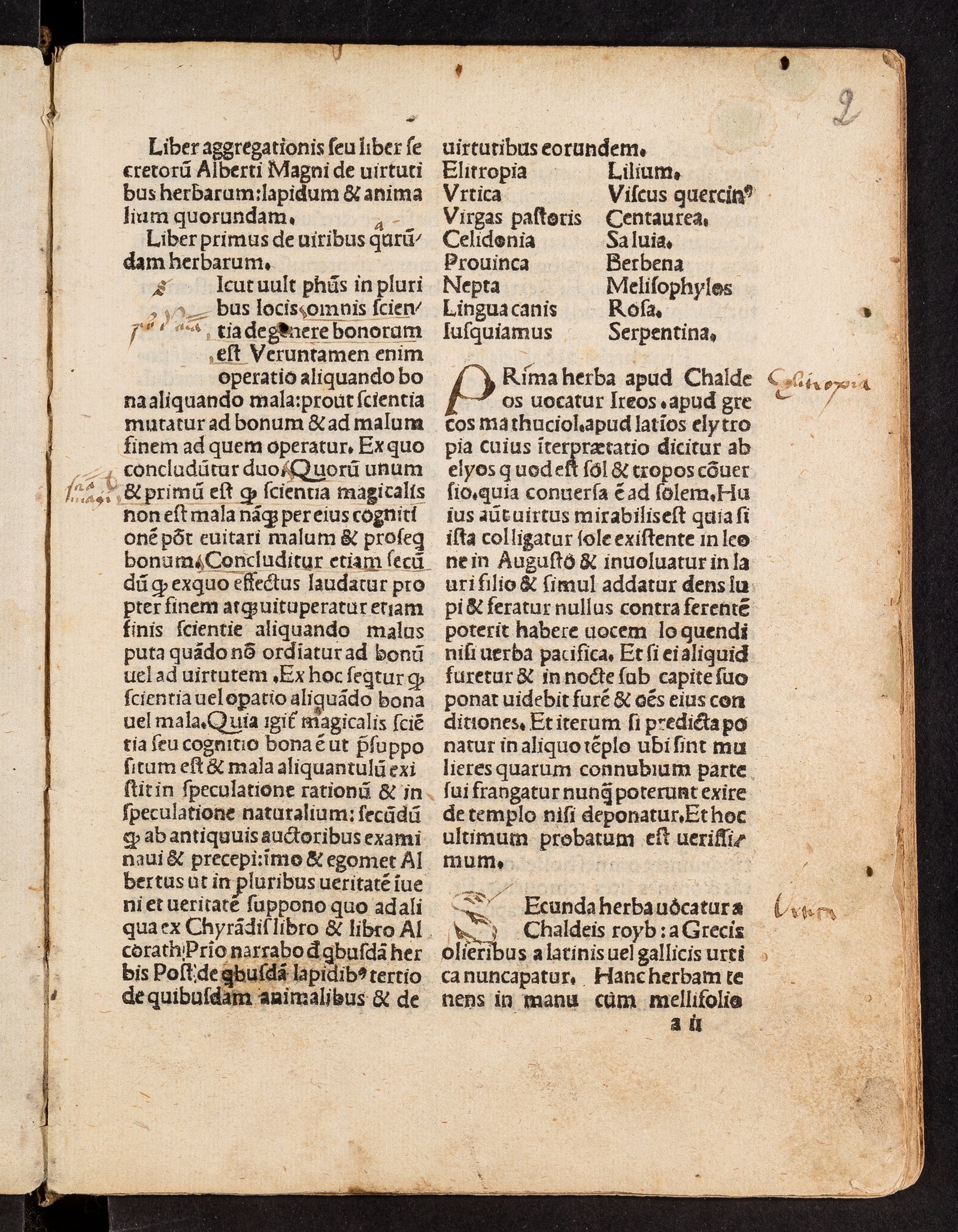 Изображение книги Liber aggregationis; De mirabilibus mundi
