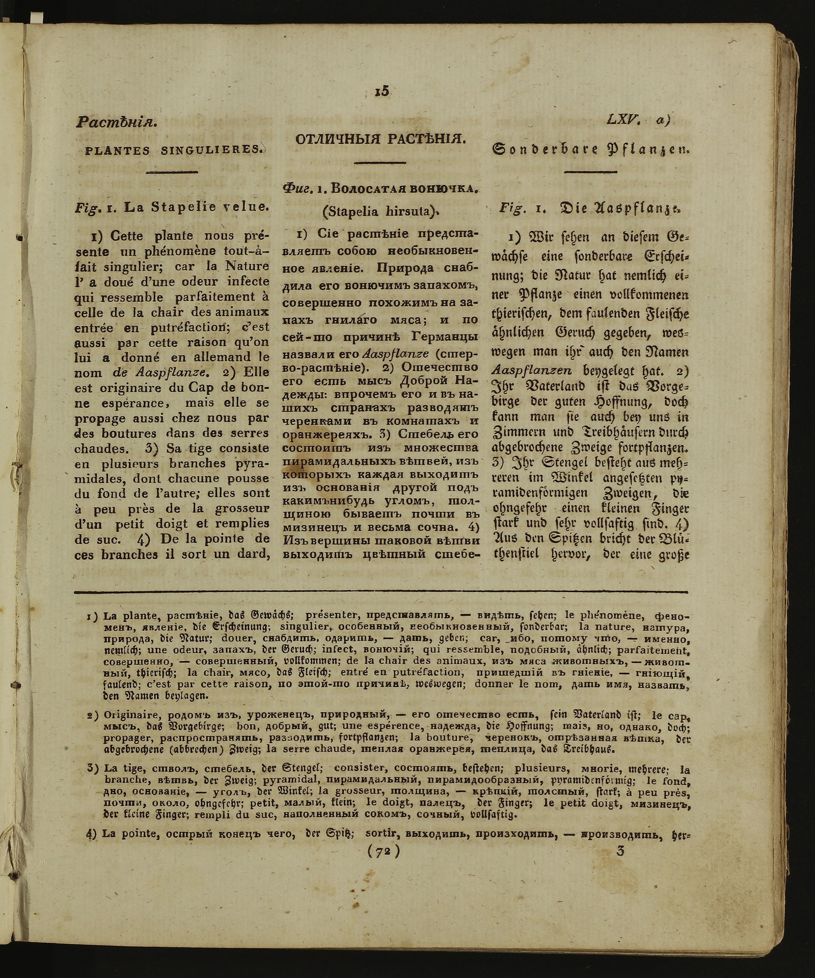 Изображение книги Детский музеум. Ч. 13, кн. 72