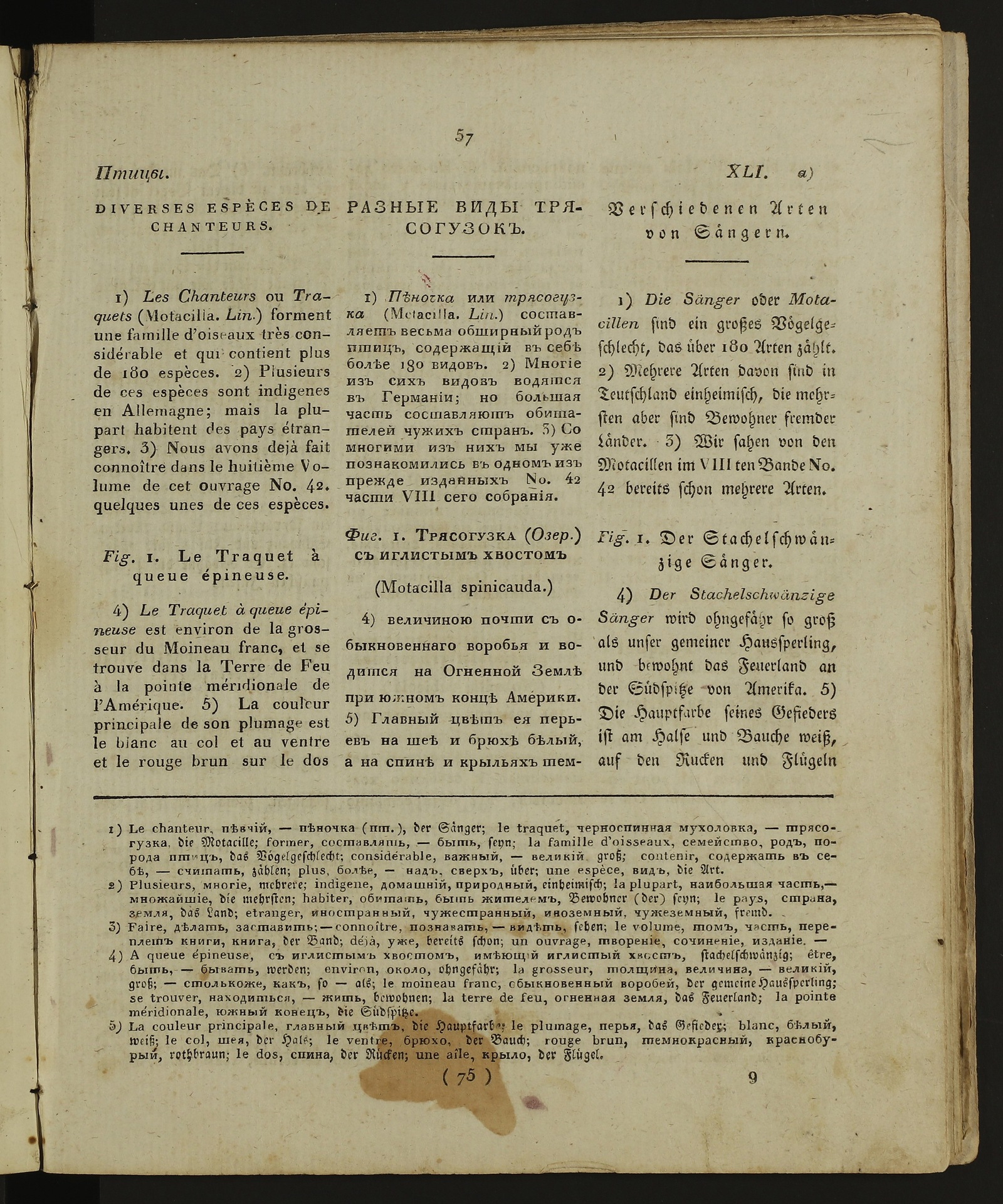 Изображение книги Детский музеум. Ч. 13, кн. 75
