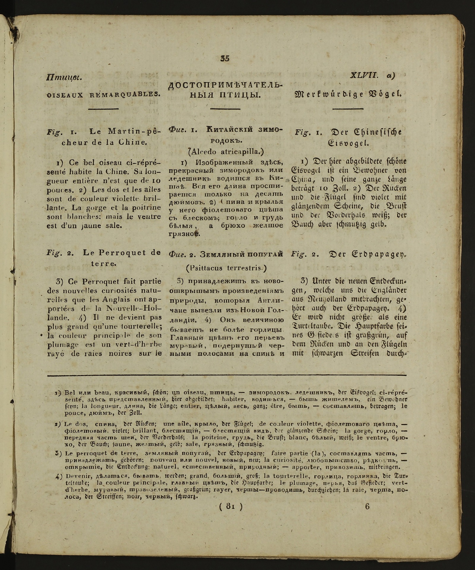 Изображение книги Детский музеум. Ч. 14, кн. 81
