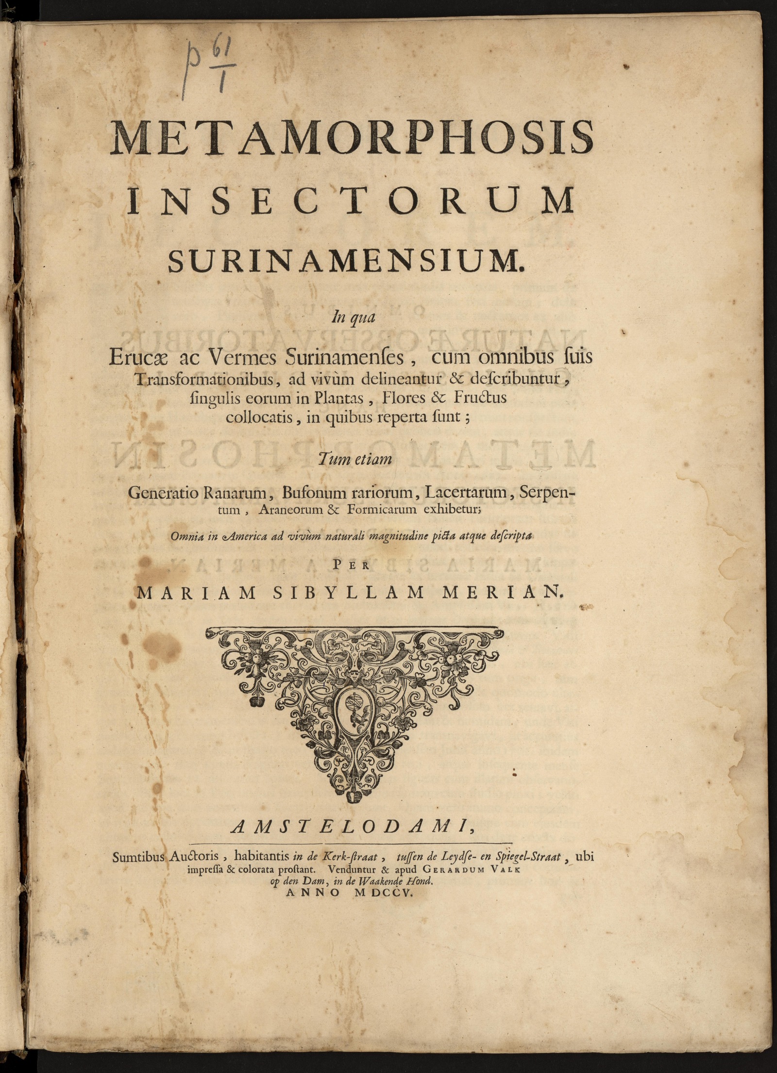 Изображение книги Metamorphosis insectorum Surinamensium