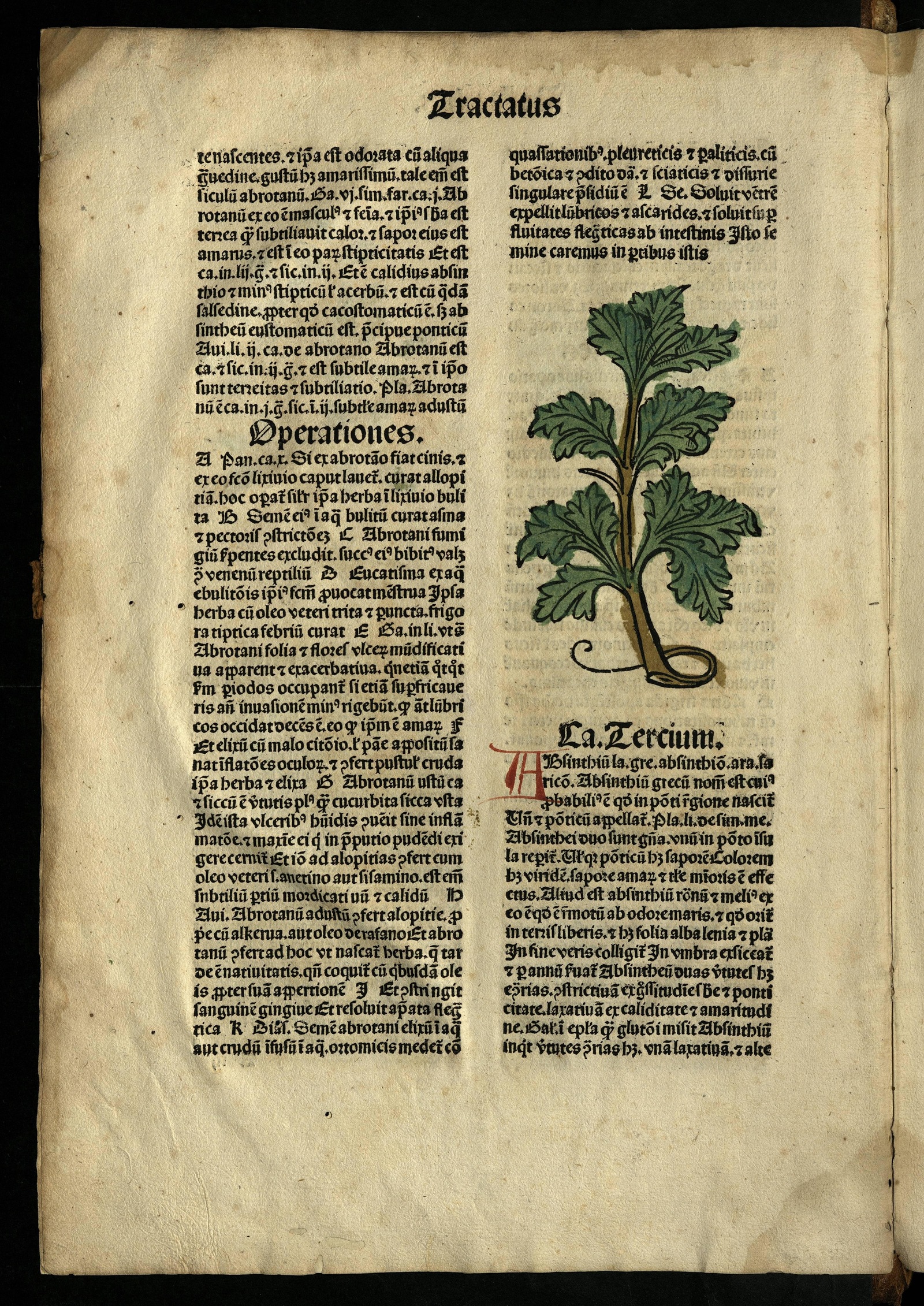 Изображение книги Hortus sanitatis