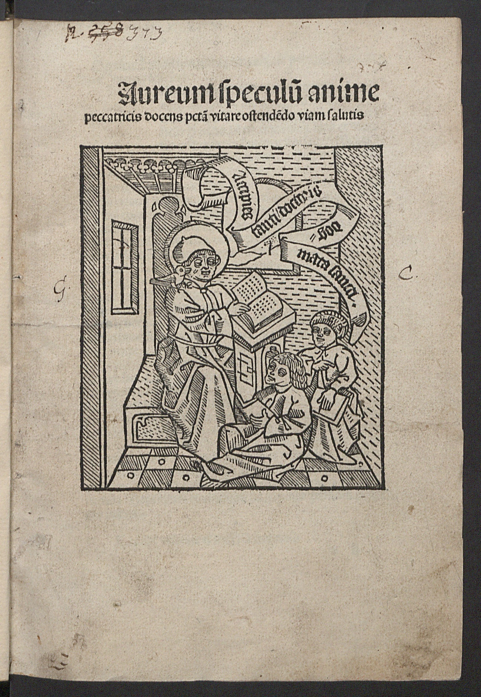 Изображение книги Speculum aureum animae peccatricis