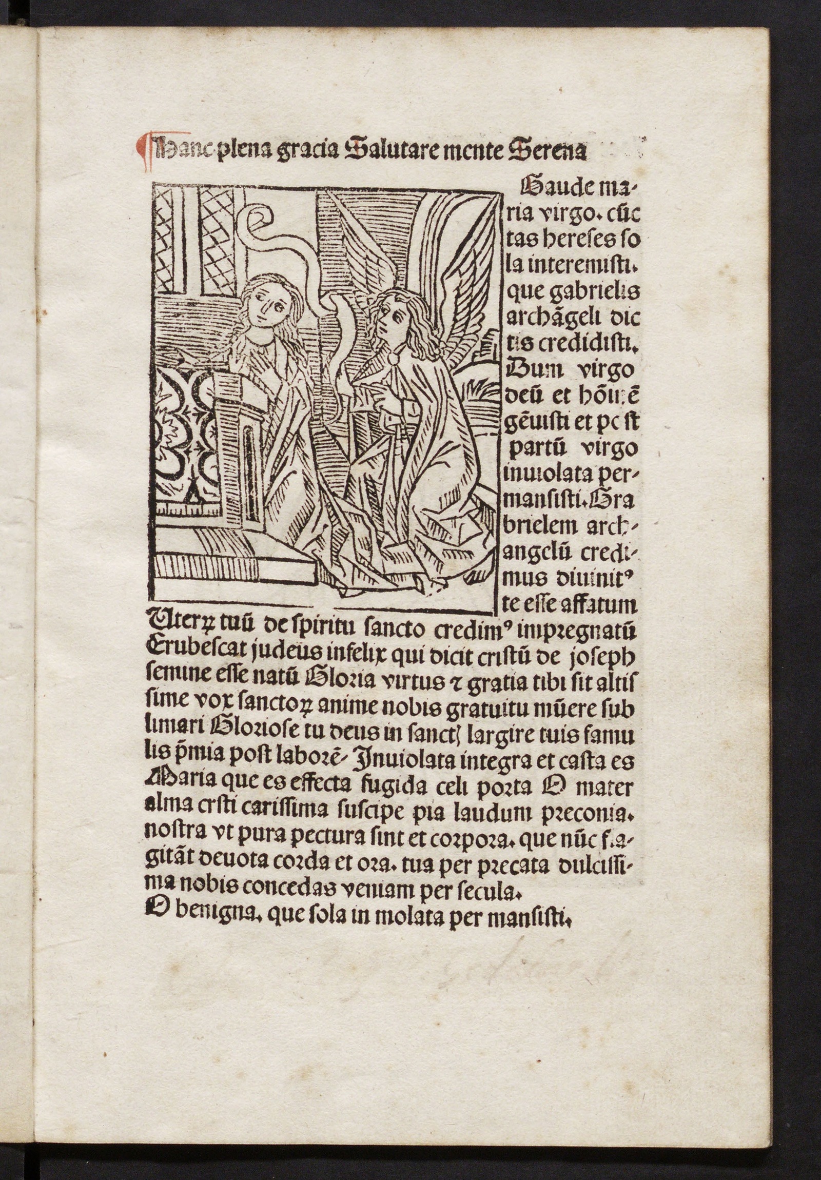 Изображение книги Defensorium inviolatae virginitatis Mariae