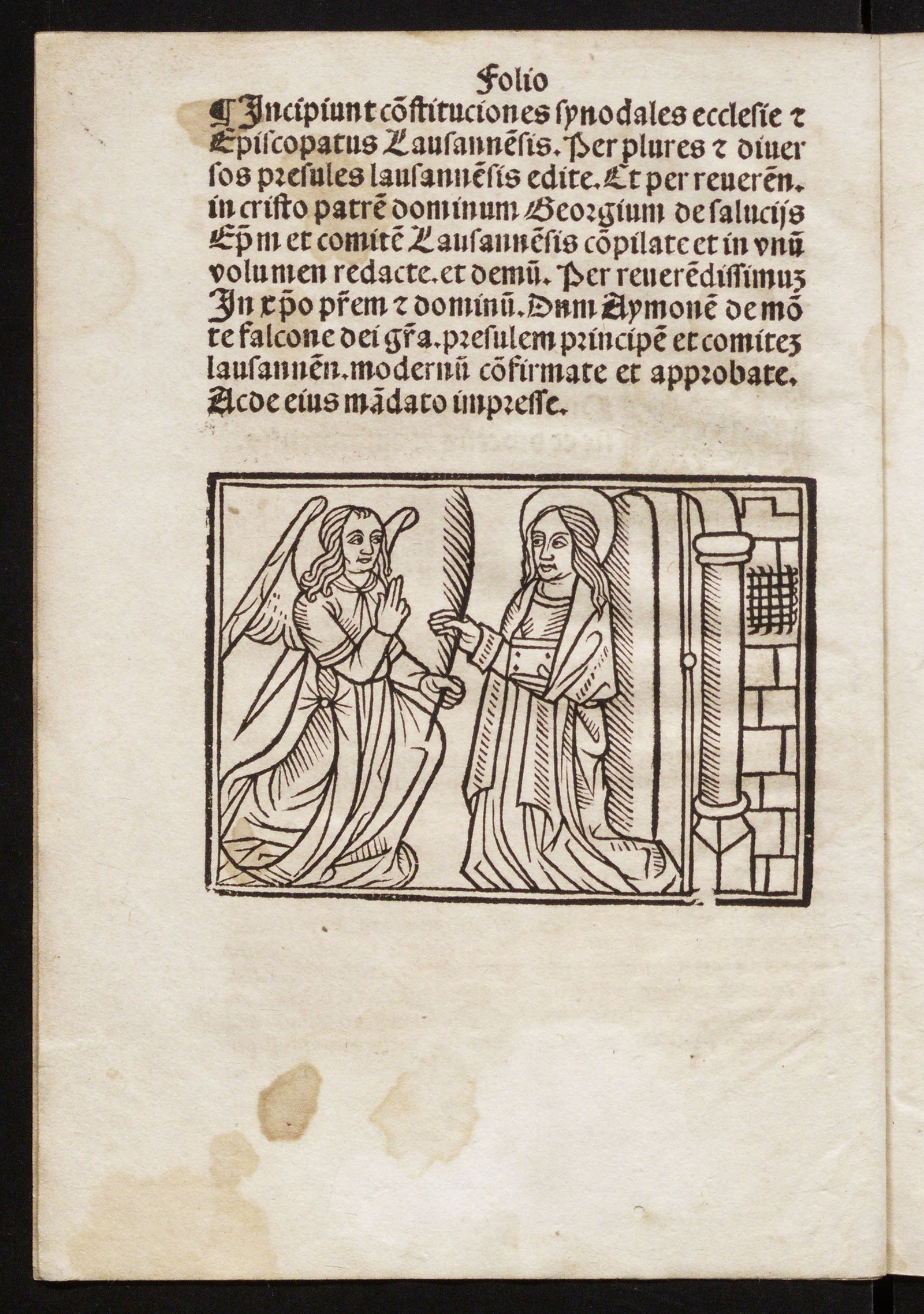 Изображение книги Statuta synodalia Lausannensia