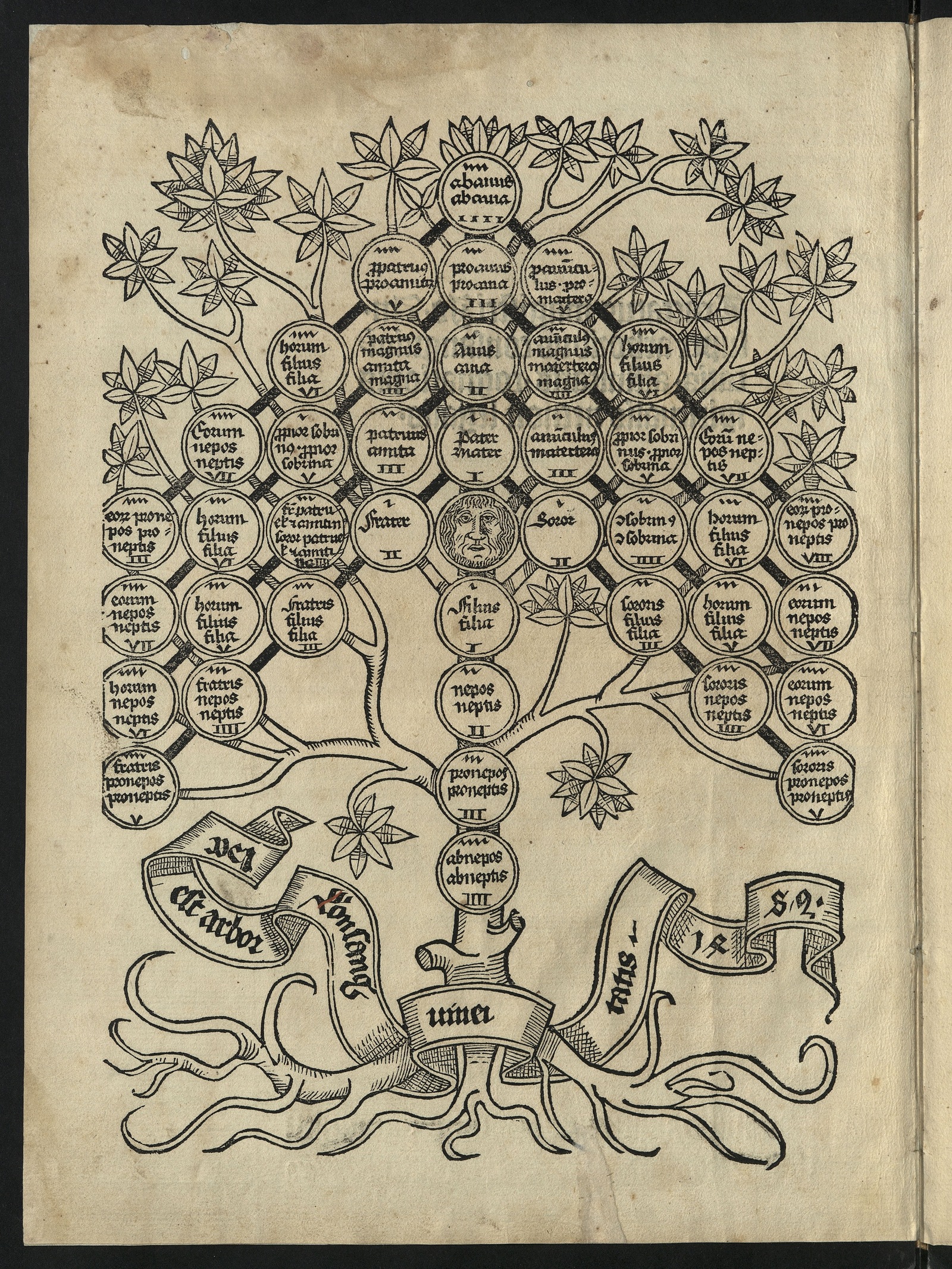 Изображение книги Super arboribus consanguinitatis, affinitatis et cognationis spiritualis et legalis