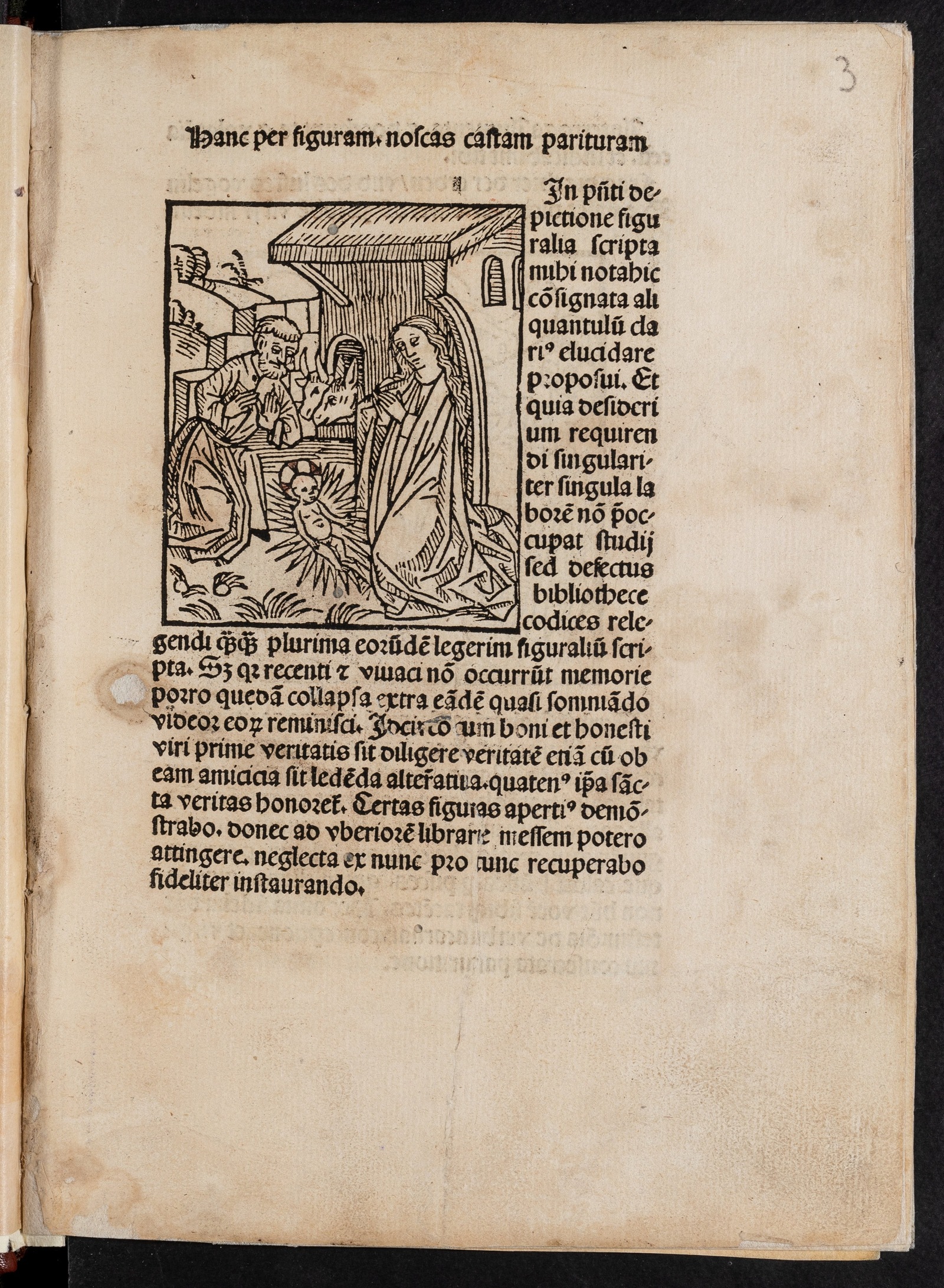 Изображение книги Defensorium inviolatae virginitatis Mariae