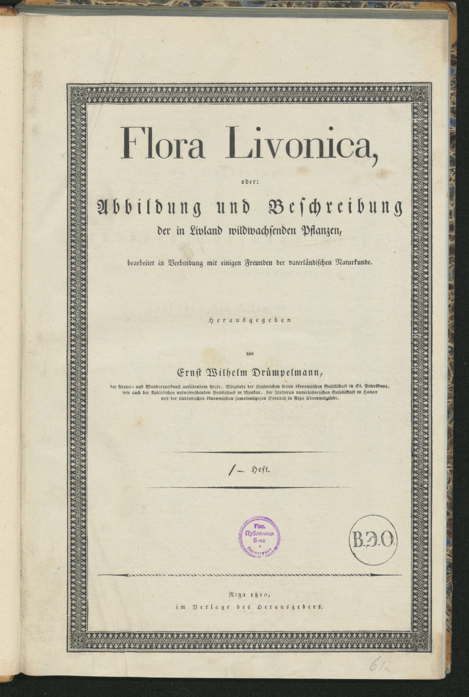 Изображение книги Flora Livonica, oder