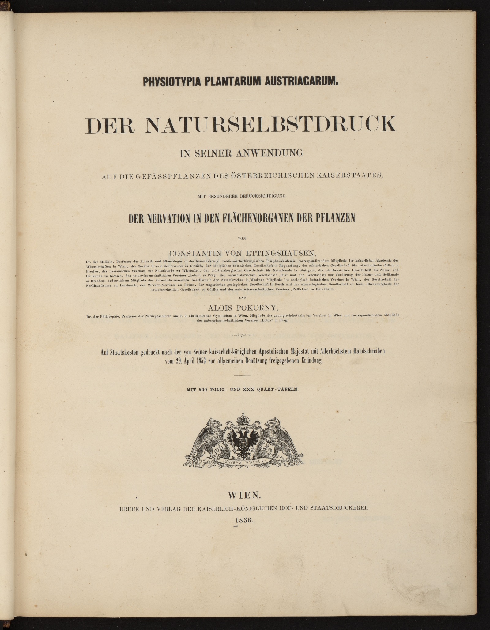 Изображение книжного памятника 'Physiotypia plantarum Austriacarum. Bd. 6'