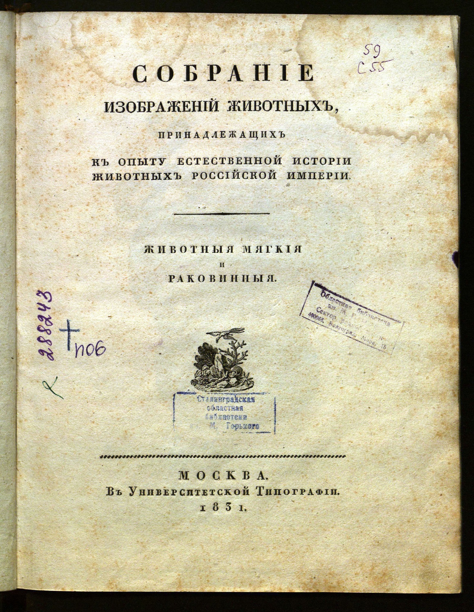 Изображение Собрание изображений животных, принадлежащих к опыту естественной истории животных Российской Империи : животные мягкие и раковинные