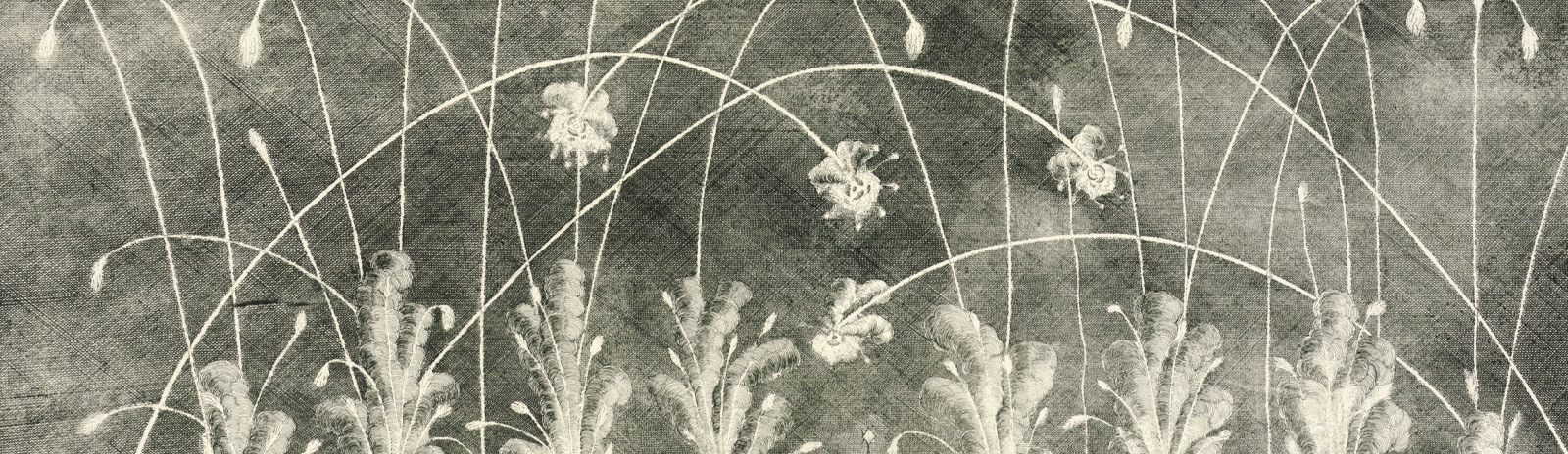 Фоновое изображение Перспективный план московского фейерверка 1724 г.
