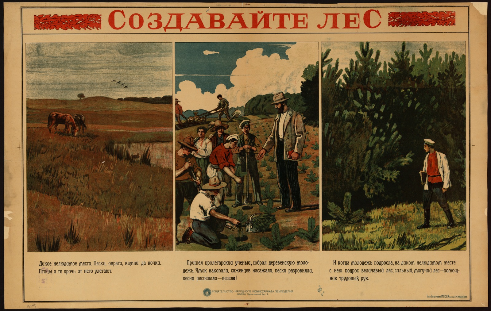 Изображение книги Создавайте лес : Дикое нелюдимое место...