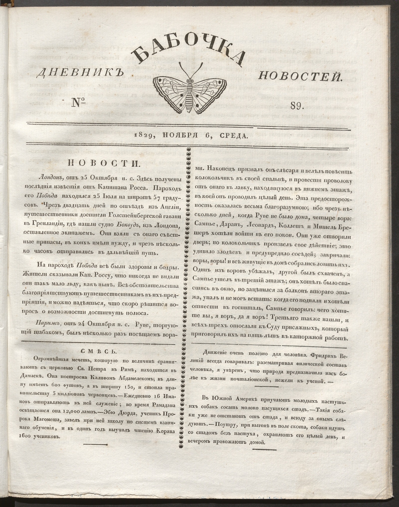 Изображение книги Бабочка : дневник новостей. 1829, № 89 (6 ноября)