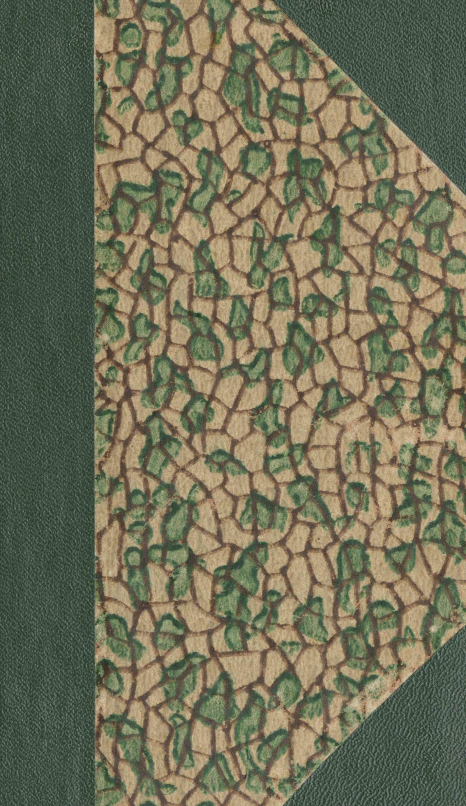 Изображение книги Непоколебимая верность, или Жизнь графини де Шатофорт