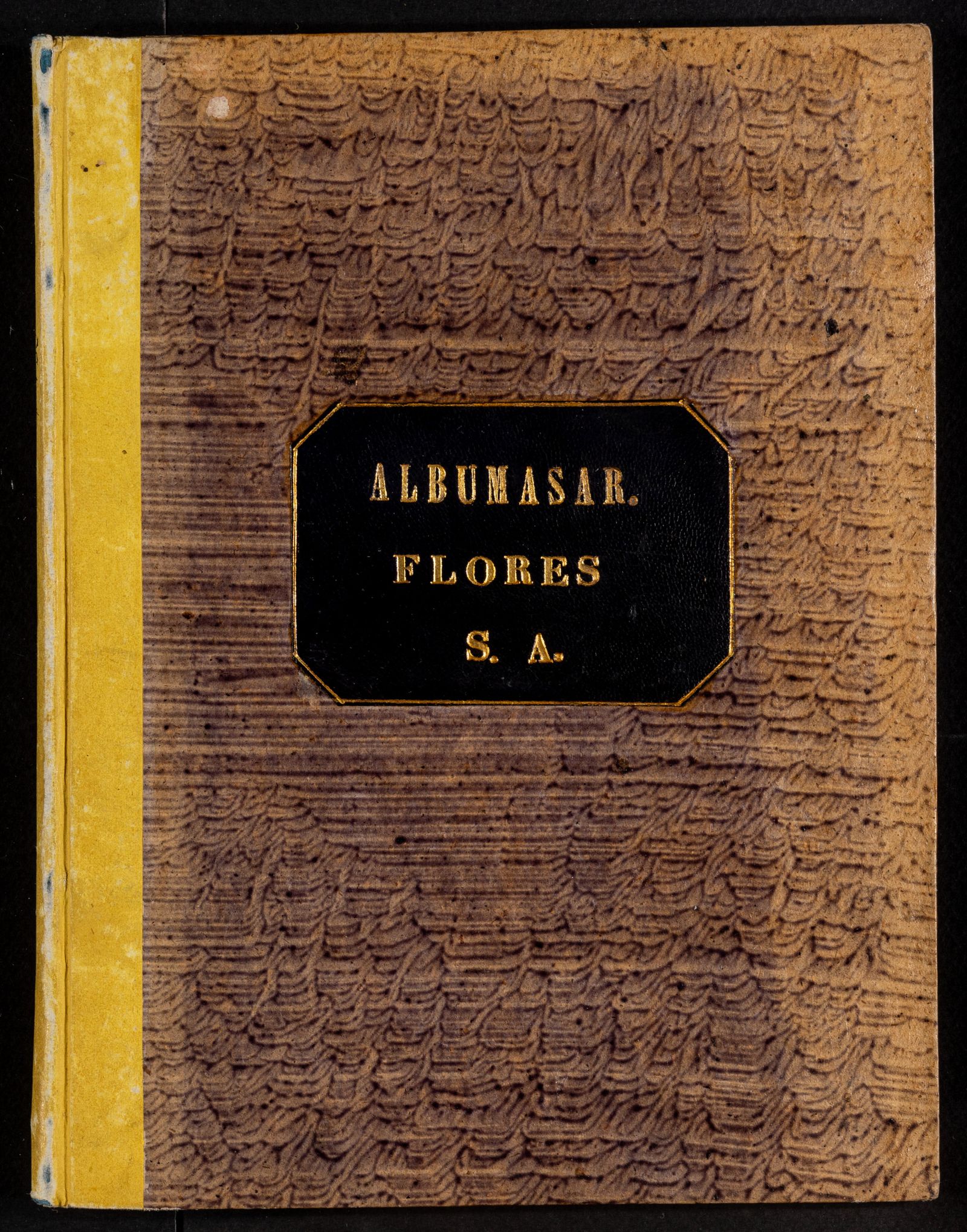 Изображение книги Flores astrologiae