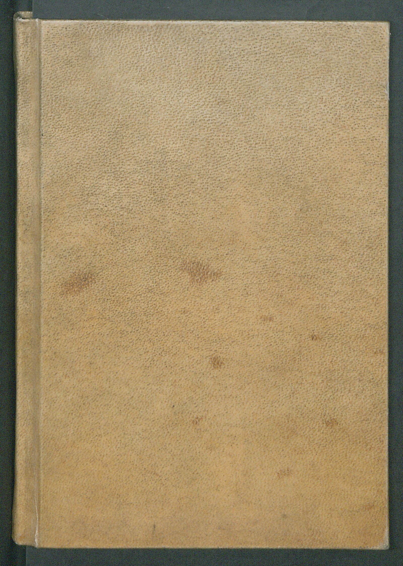 Изображение книги Speculum aureum animae peccatricis