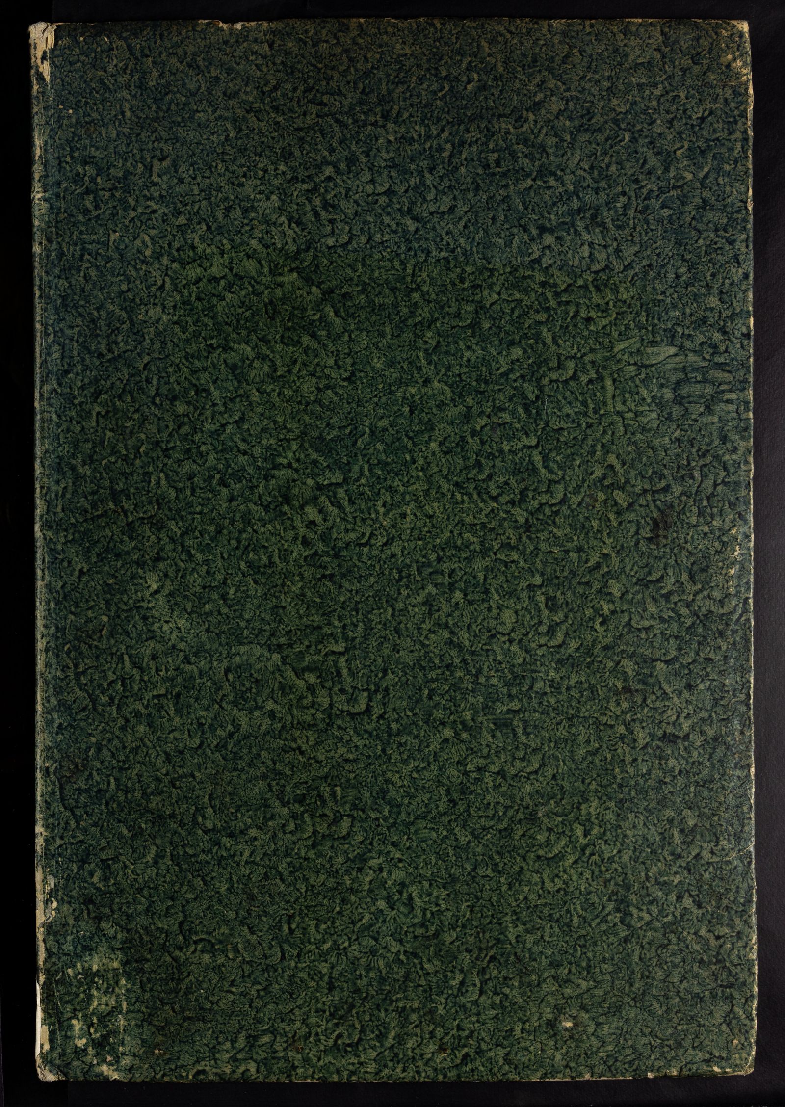 Изображение Constitutiones