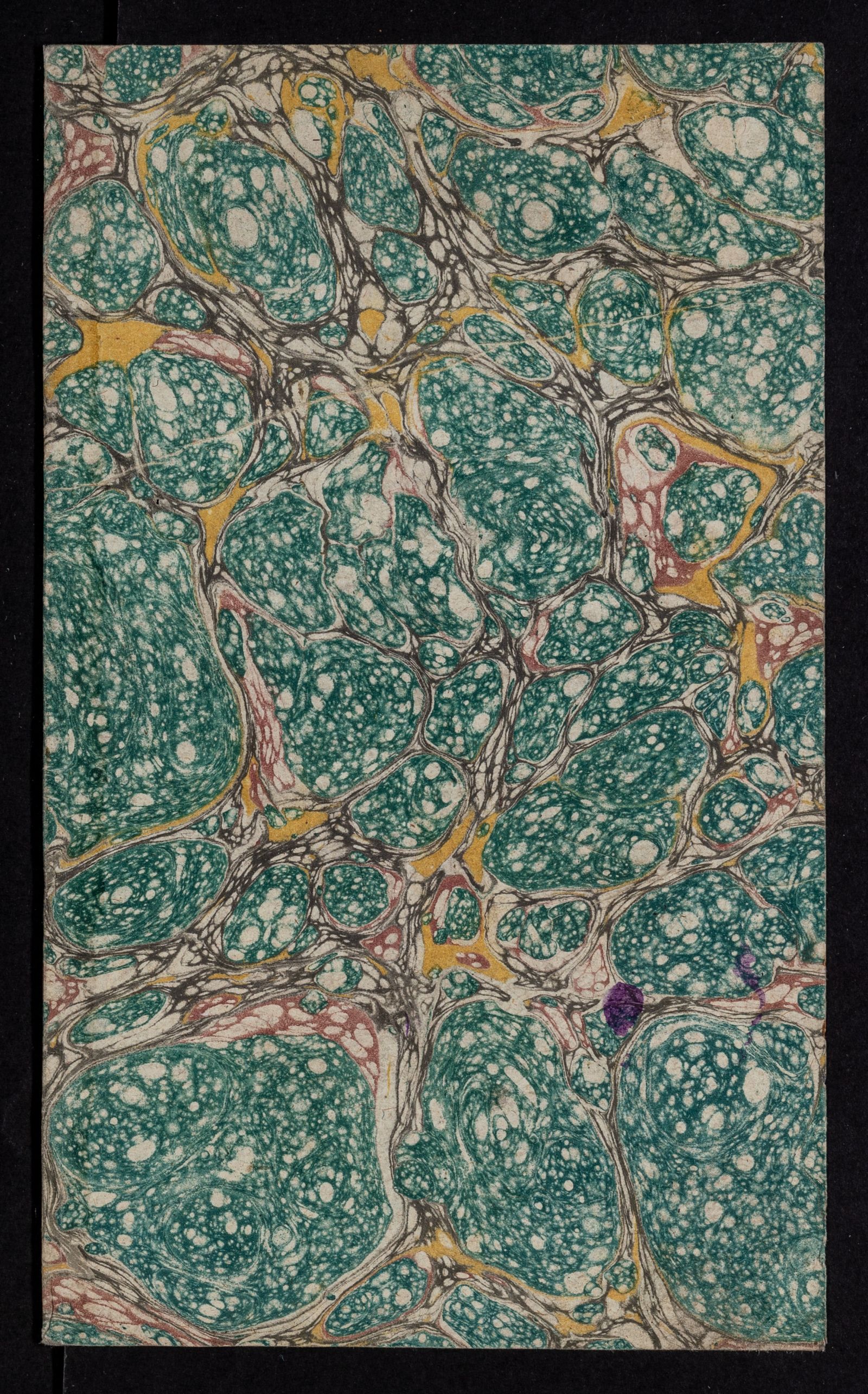 Изображение книги Ad solemnem promotionem studiosorum medicinae et chirurgiae quae in auditorio magno Universitatis literarum Imperialis Casanensis diebus XVII-XIX mensis Junii 1824 locum habebit invitant rector et senatus