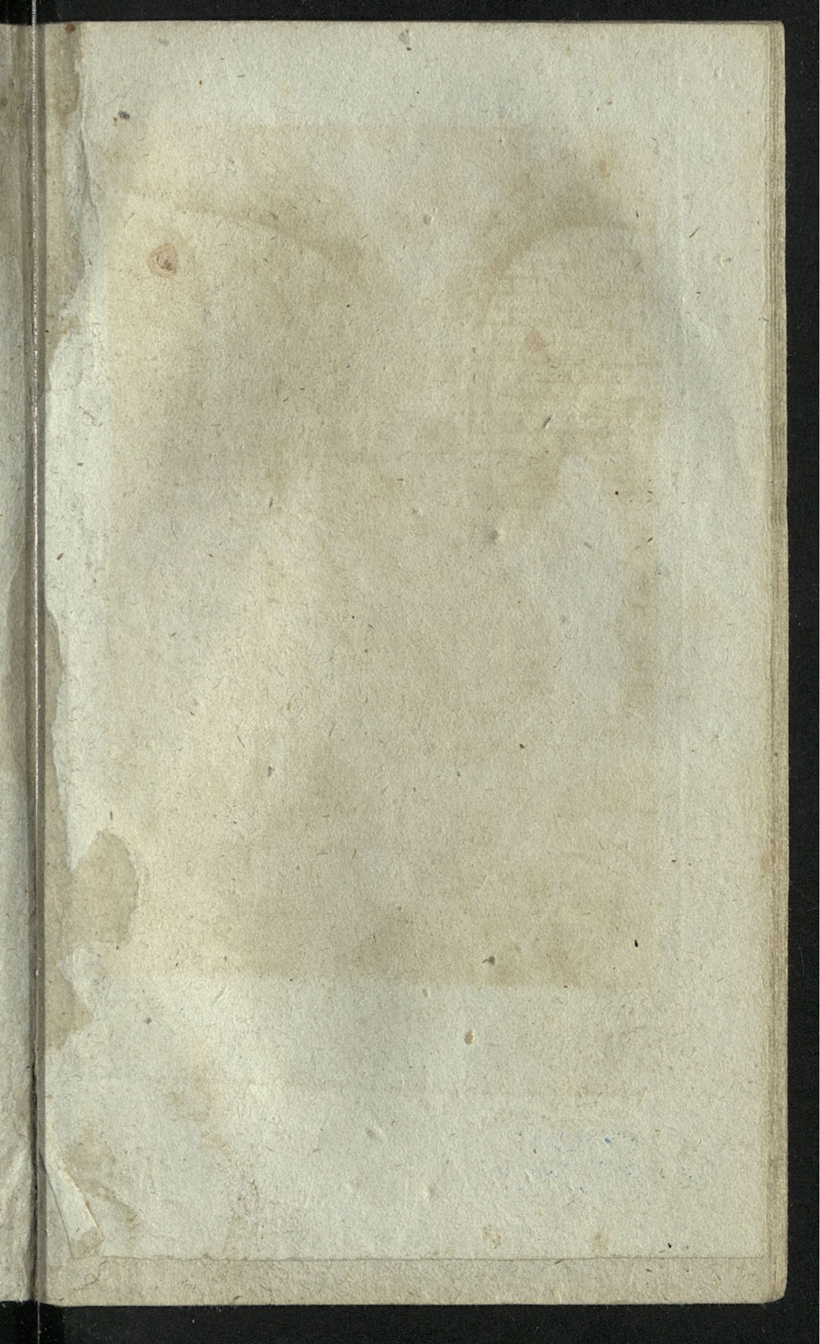 Изображение Евфразия. Ч. 2