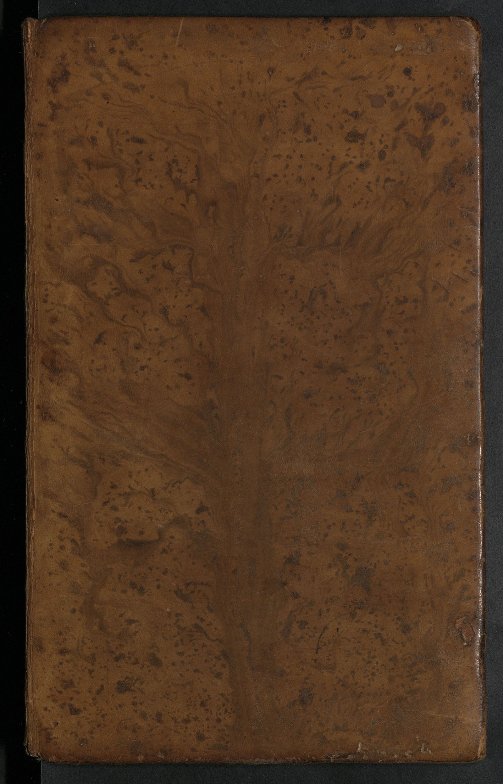 Изображение Дополнение к Деяниям Петра Великаго. Т. 17