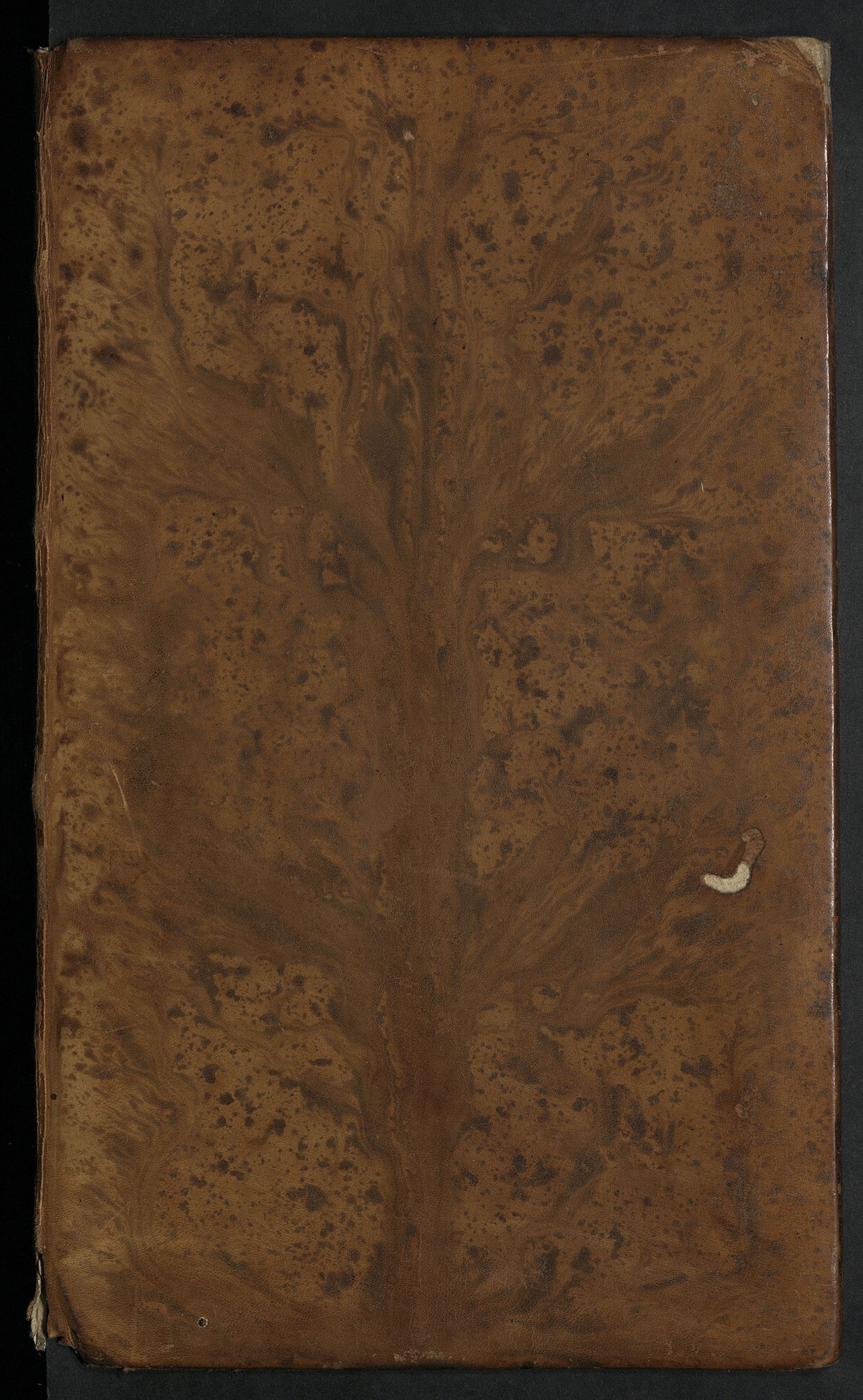 Изображение Дополнение к Деяниям Петра Великаго. Т. 15