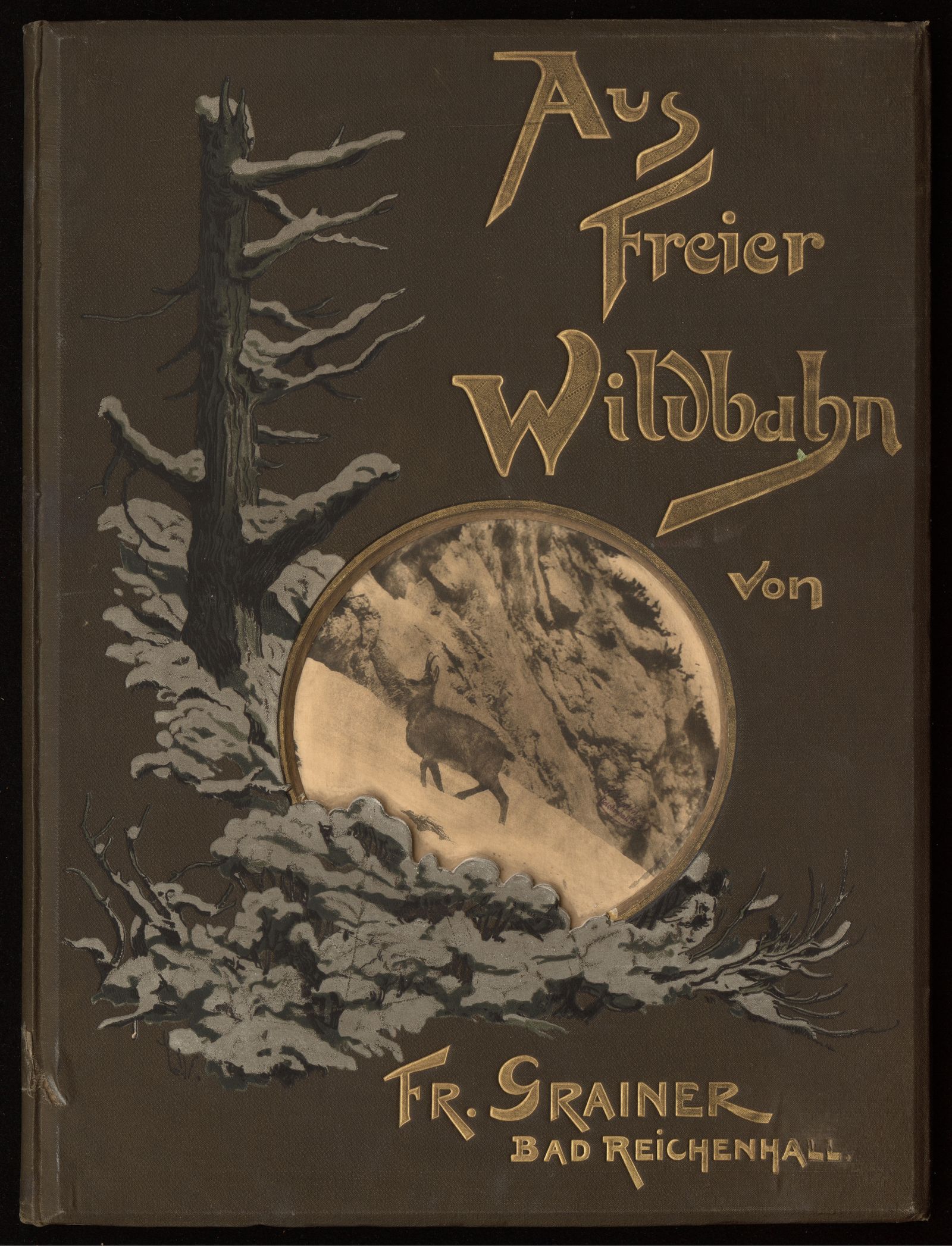 Изображение книги Aus freier Wildbahn. Thierstudien aus den Hochalpen in Momentaufnahmen