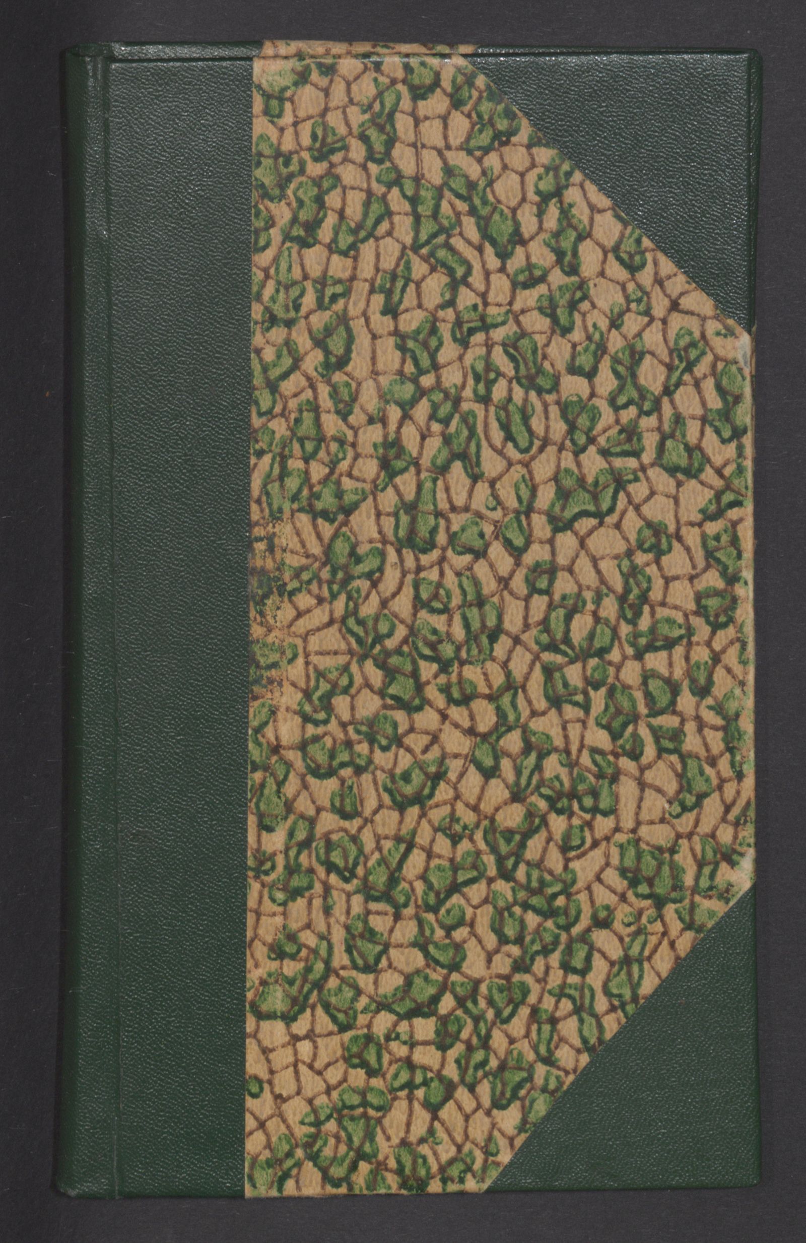 Изображение книги Описание вновь открытых Андреяпольских минеральных вод