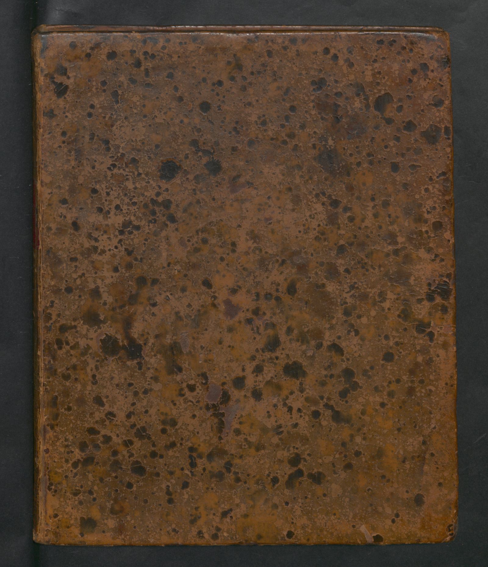 Изображение книги Новый ботанический словарь на латинском, немецком и российском языках