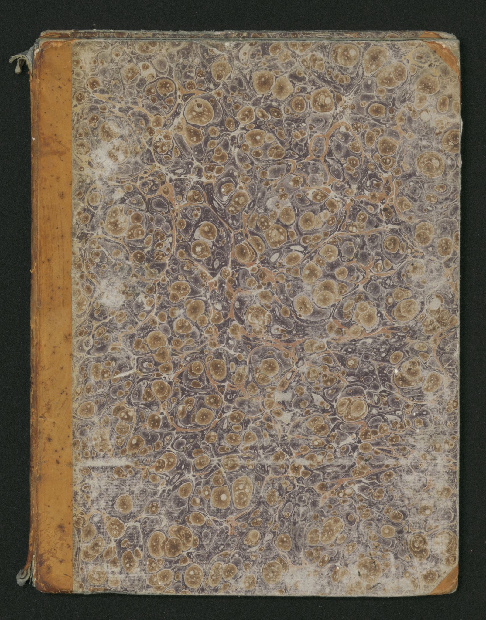 Изображение книги Созвездия, представленныя на XXX таблицах