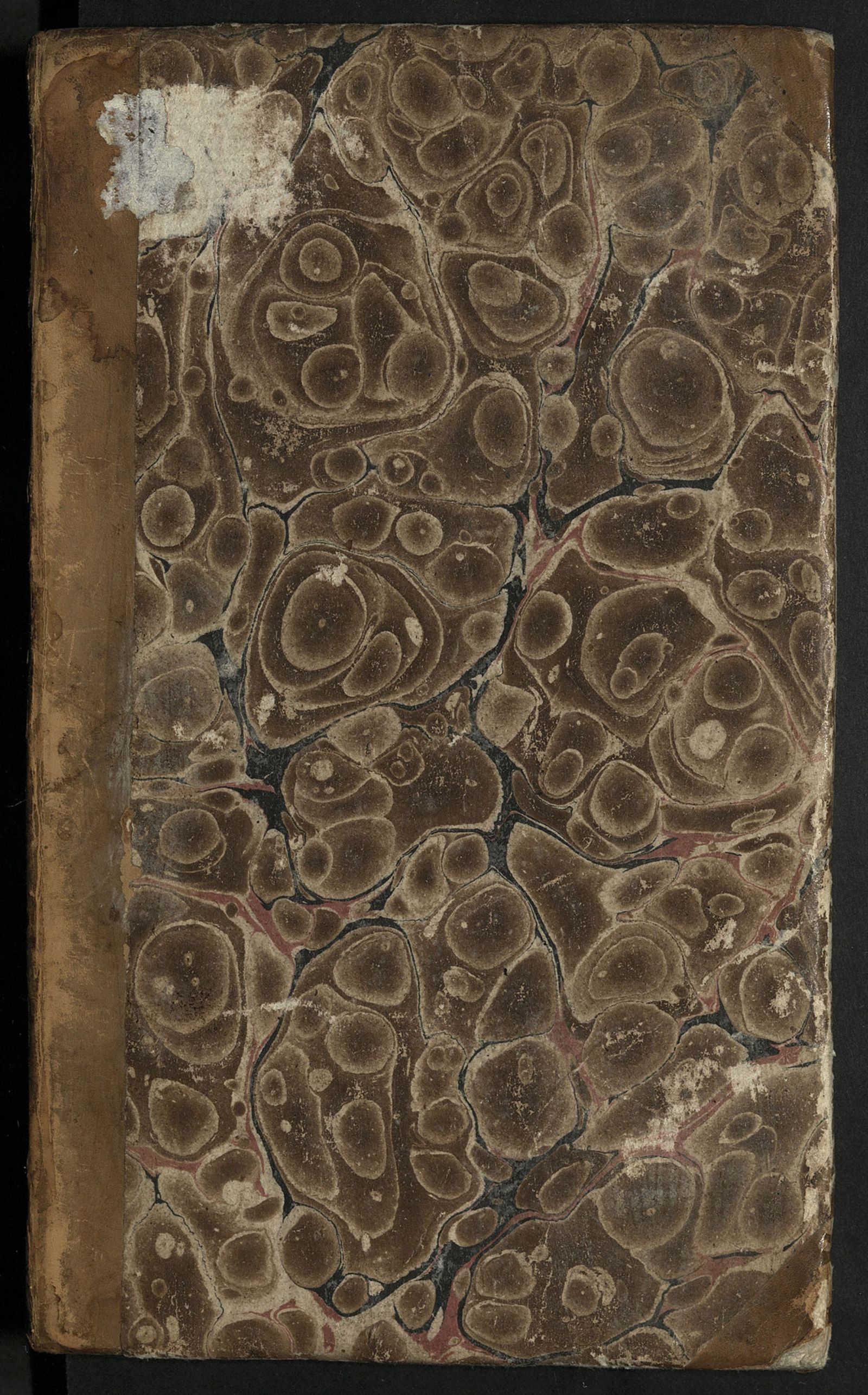 Изображение книги Посещение, или Страсть блистать в обществе