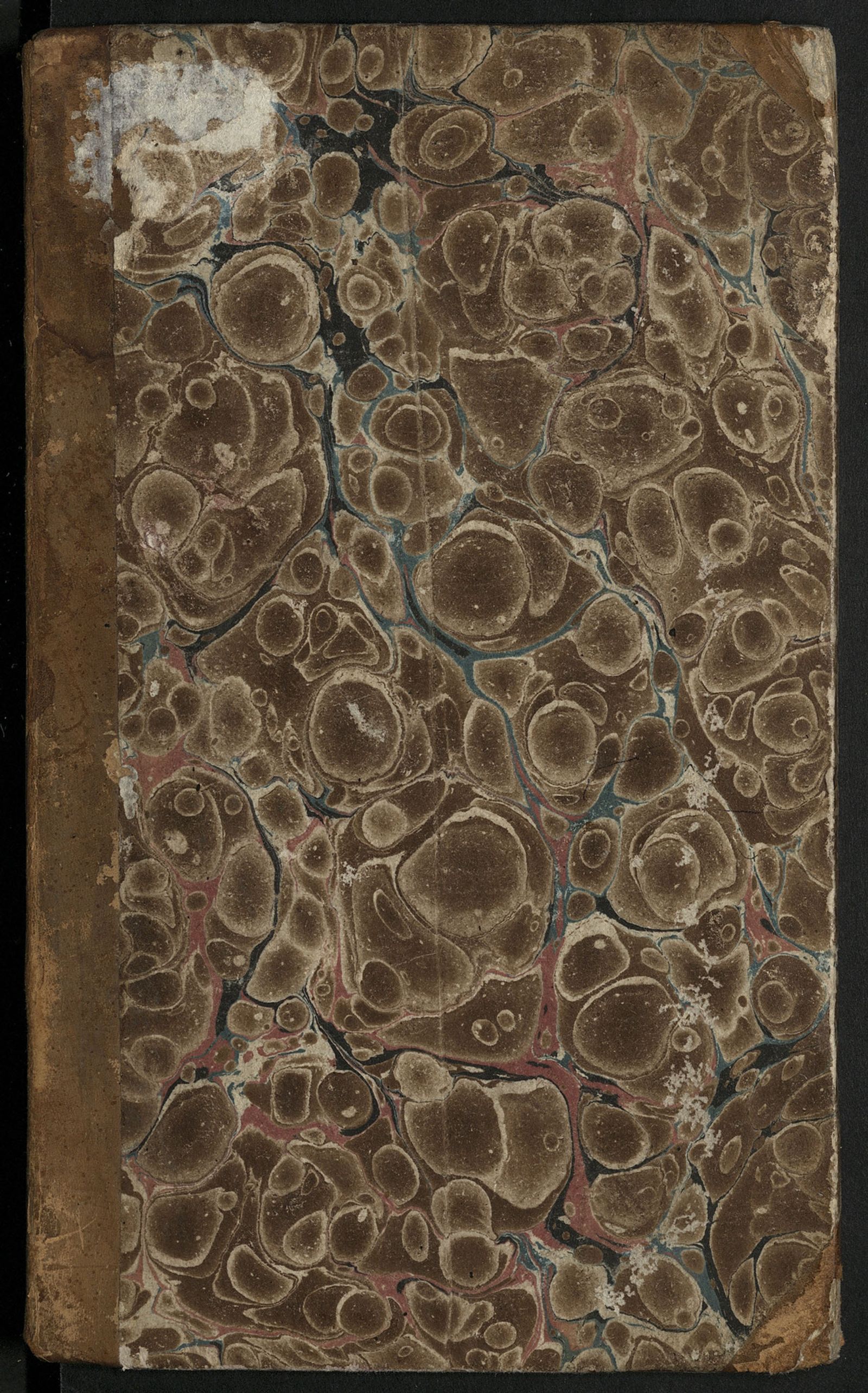 Изображение книги Клеинсберги