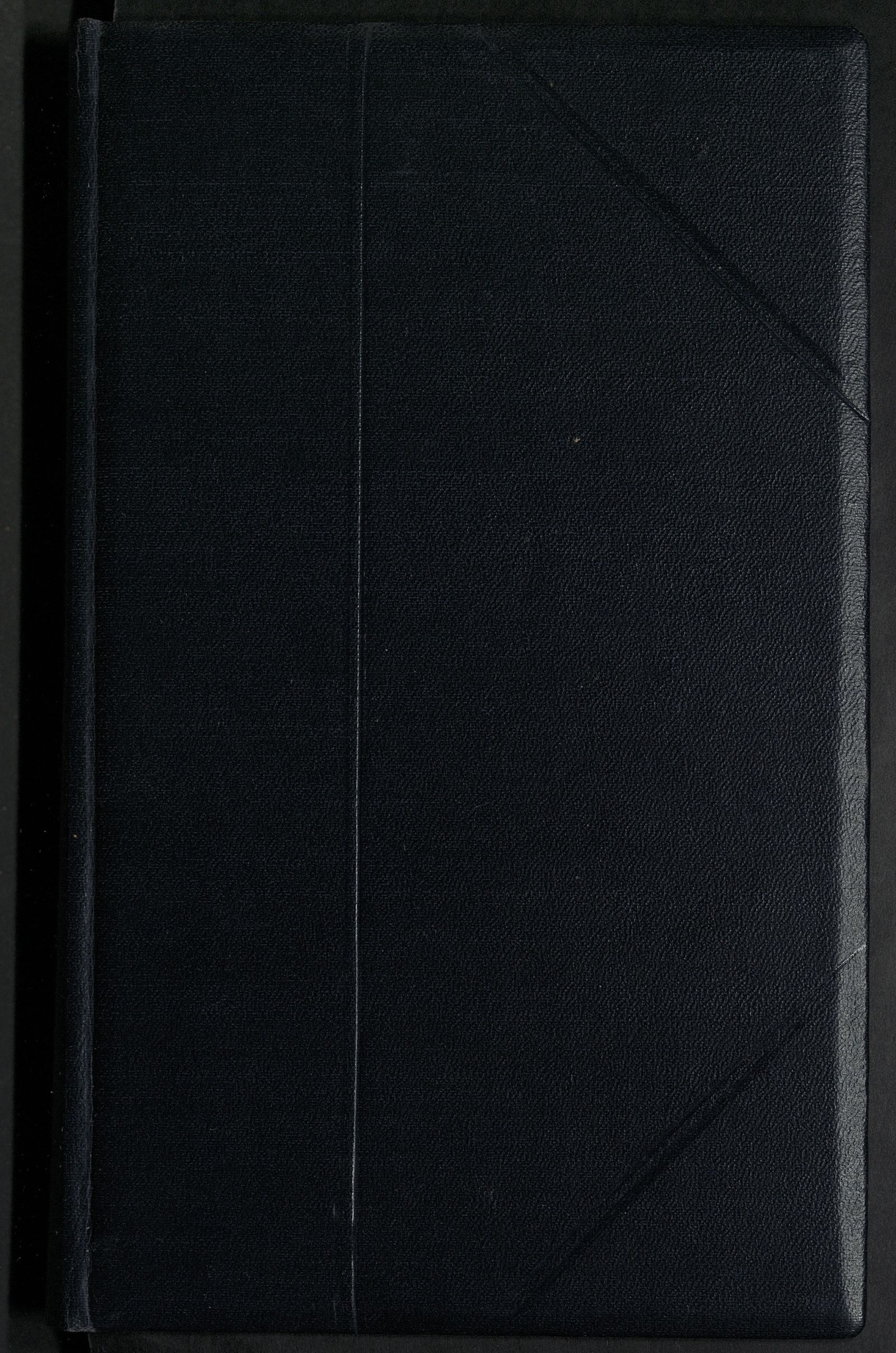 Изображение книги Царь, или Спасенный Новгород