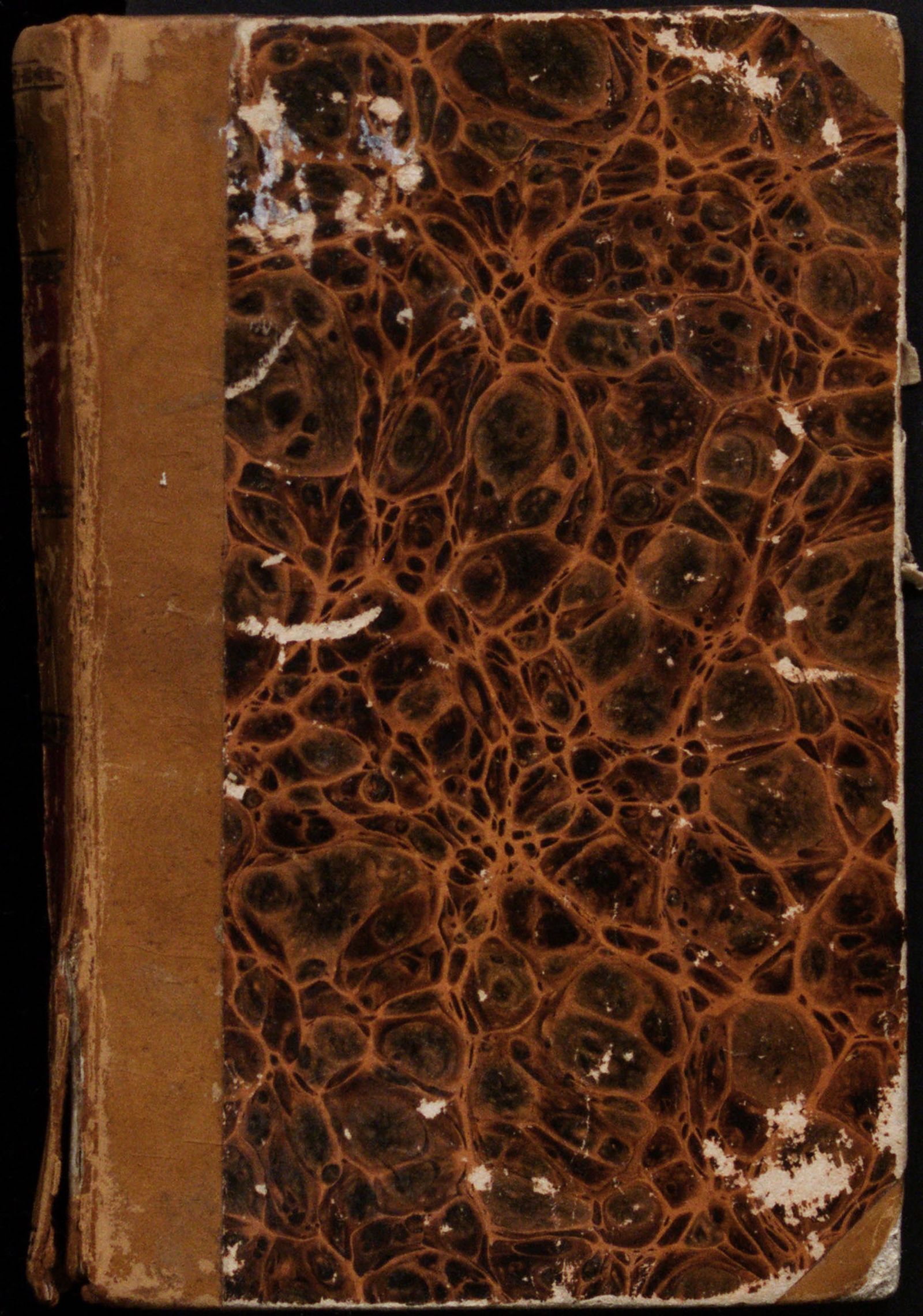 Изображение Мальчик у ручья, или Постоянная любовь. Кн. 3