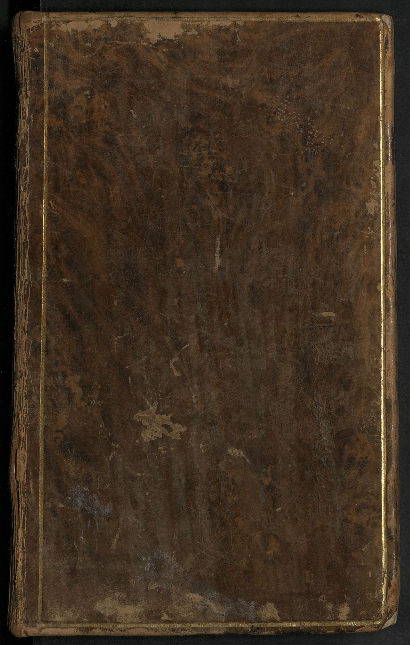 Изображение Леонтина. Ч. 1