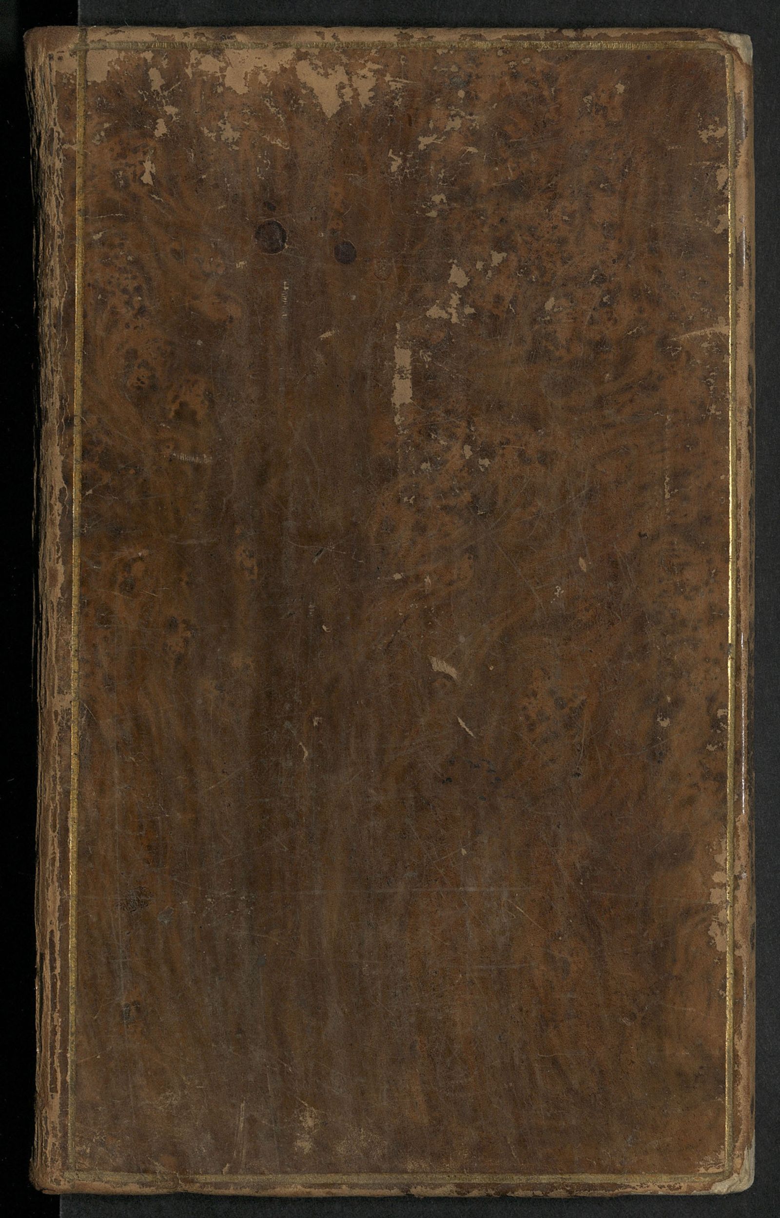 Изображение книги Леонтина. Ч. 3