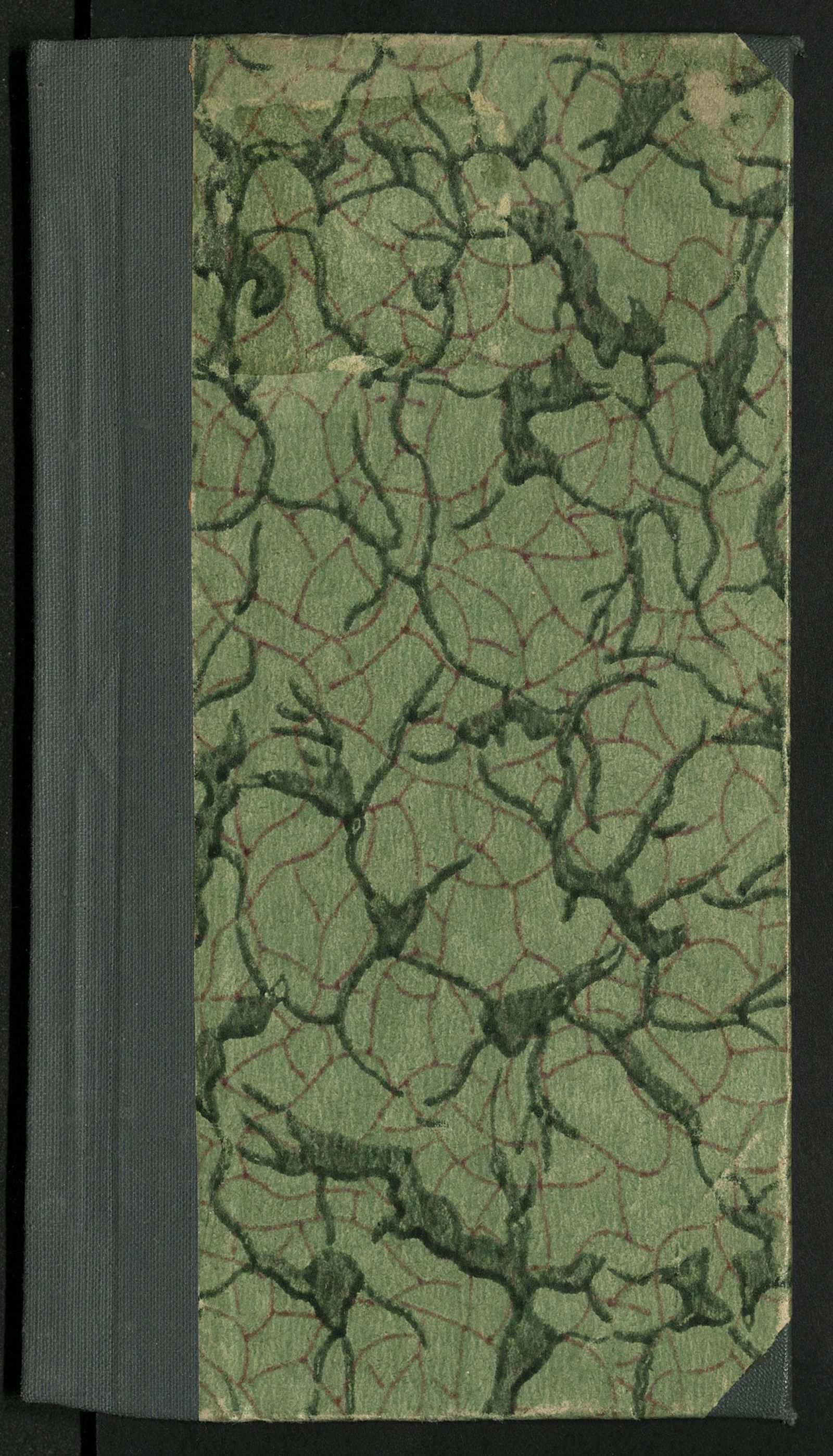 Изображение книги Истинное приключение благородной россиянки