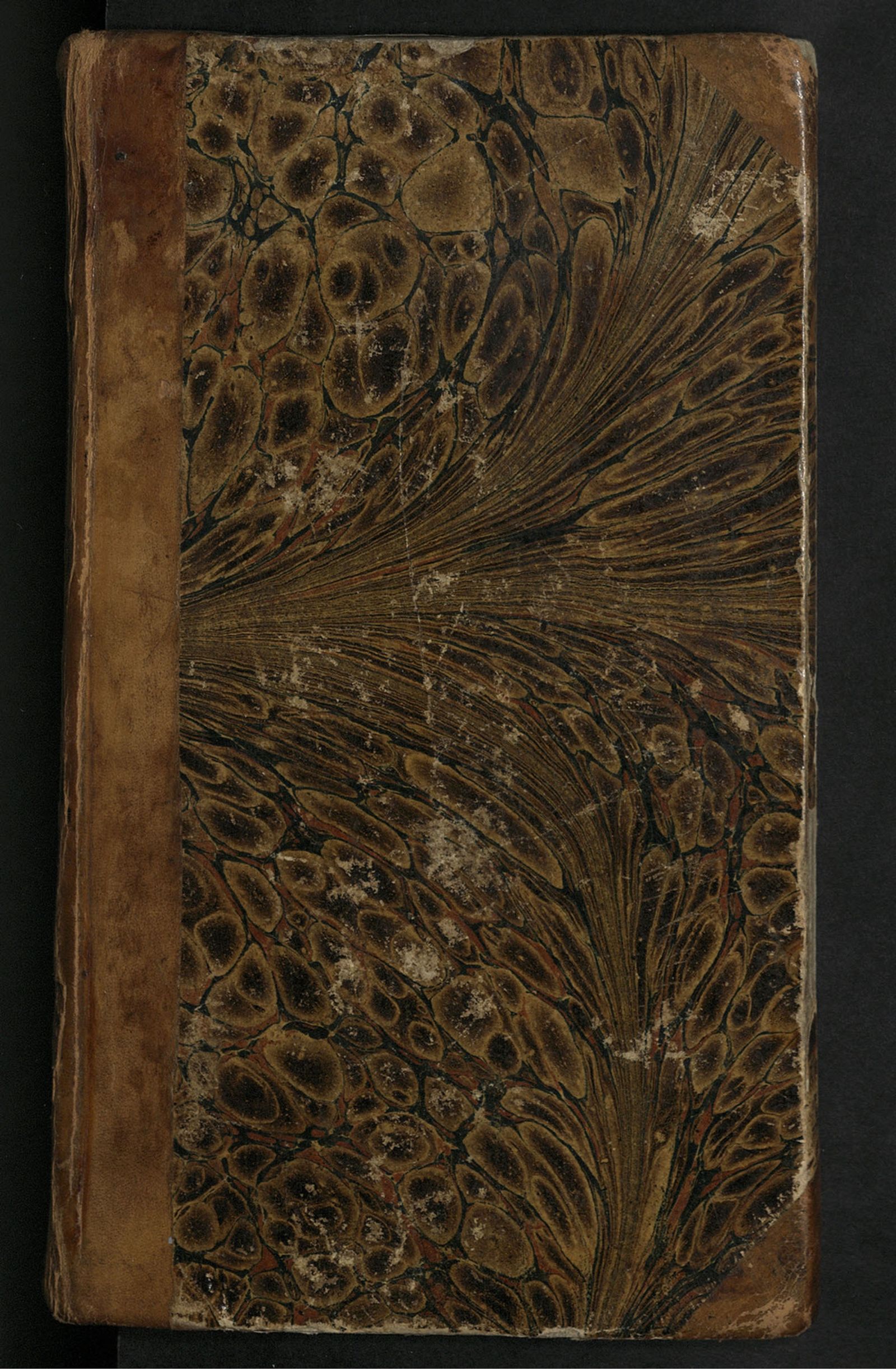 Изображение Замок в дремучем лесу, или Награжденные героизм и добродетель. Ч. 1