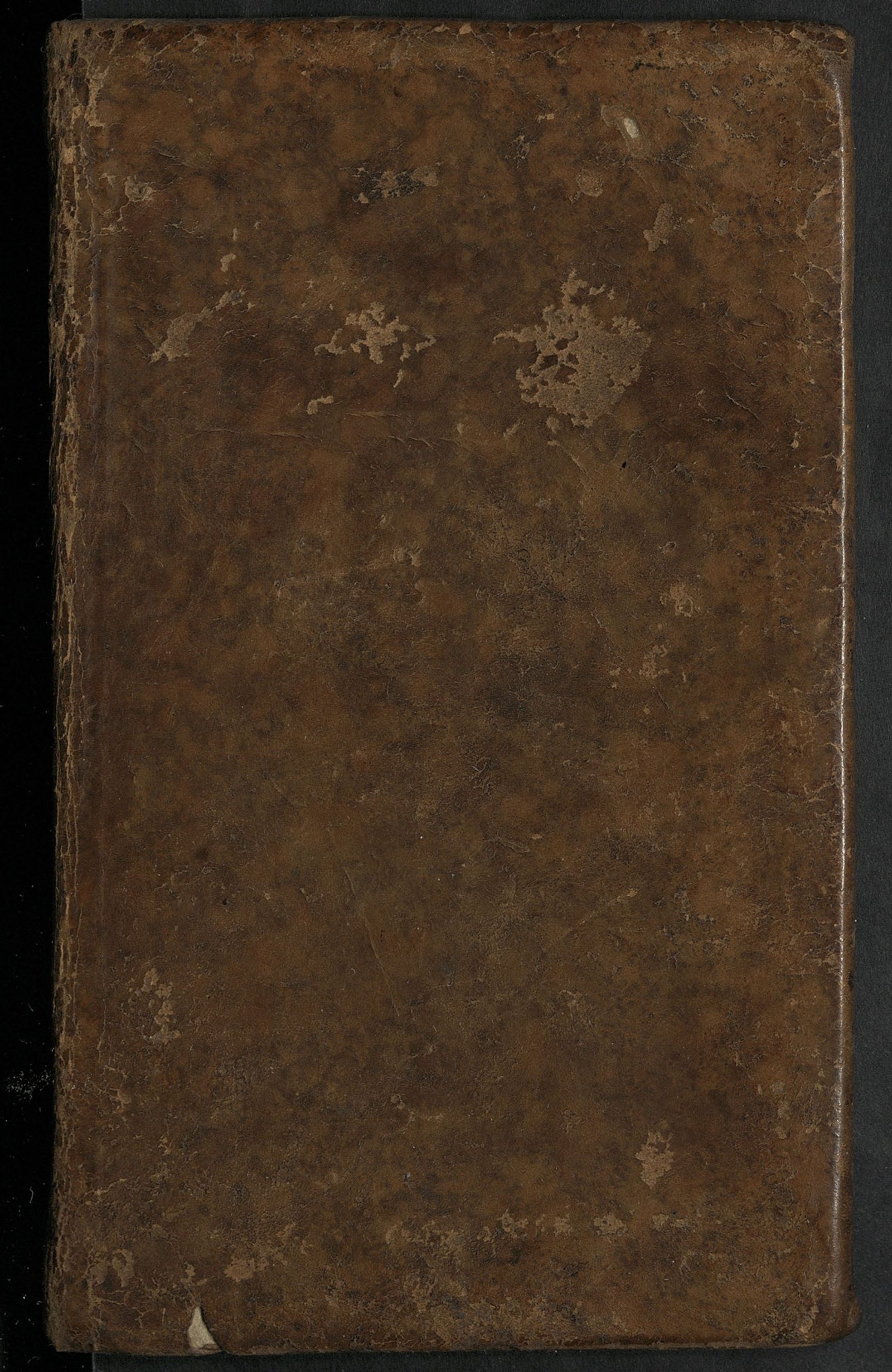 Изображение Королева Ильдегерда. Ч. 1