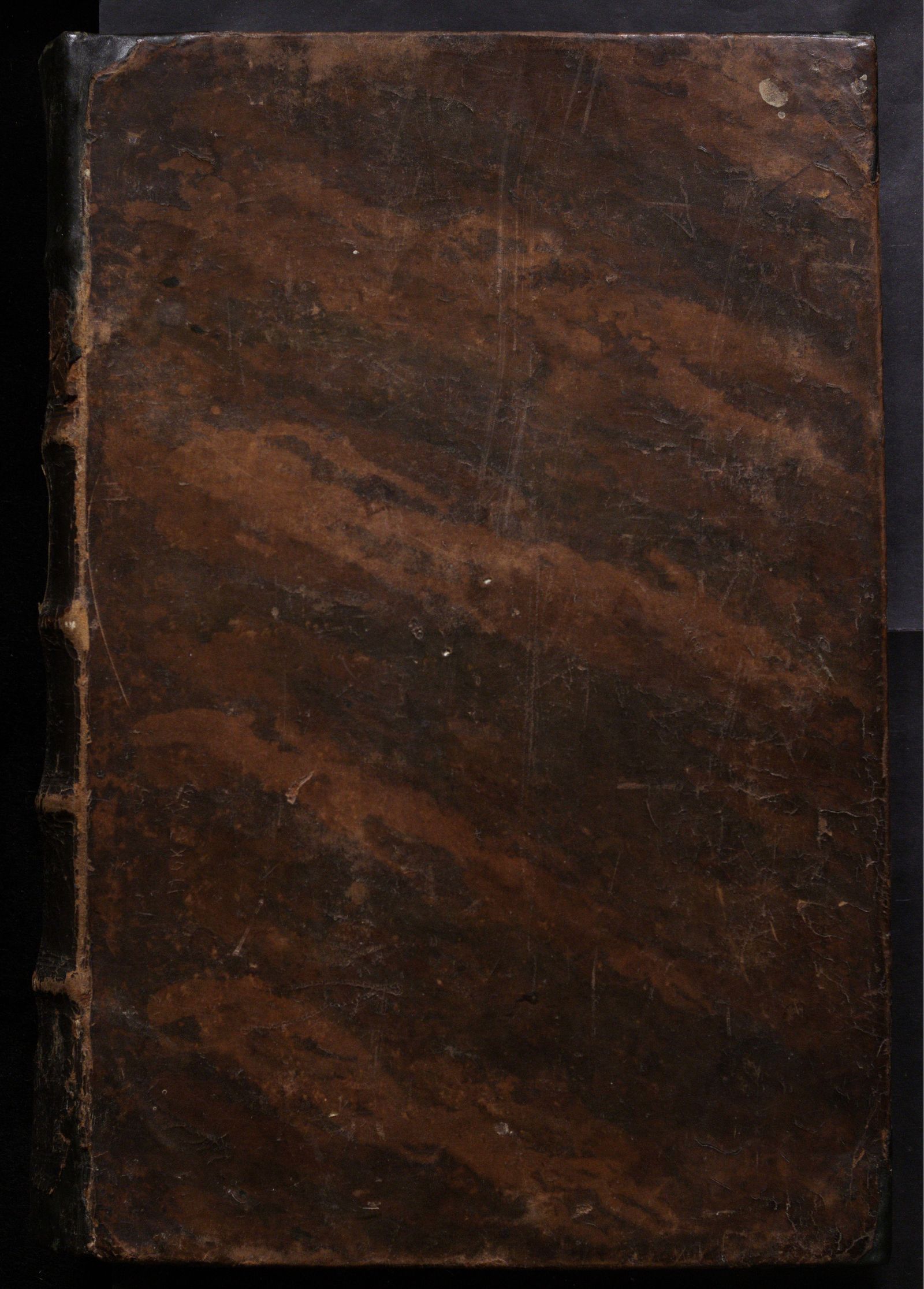 Изображение книги Готская и Шведская история о достоверных древних свидетельствах исторических (История о готфах и шведах)