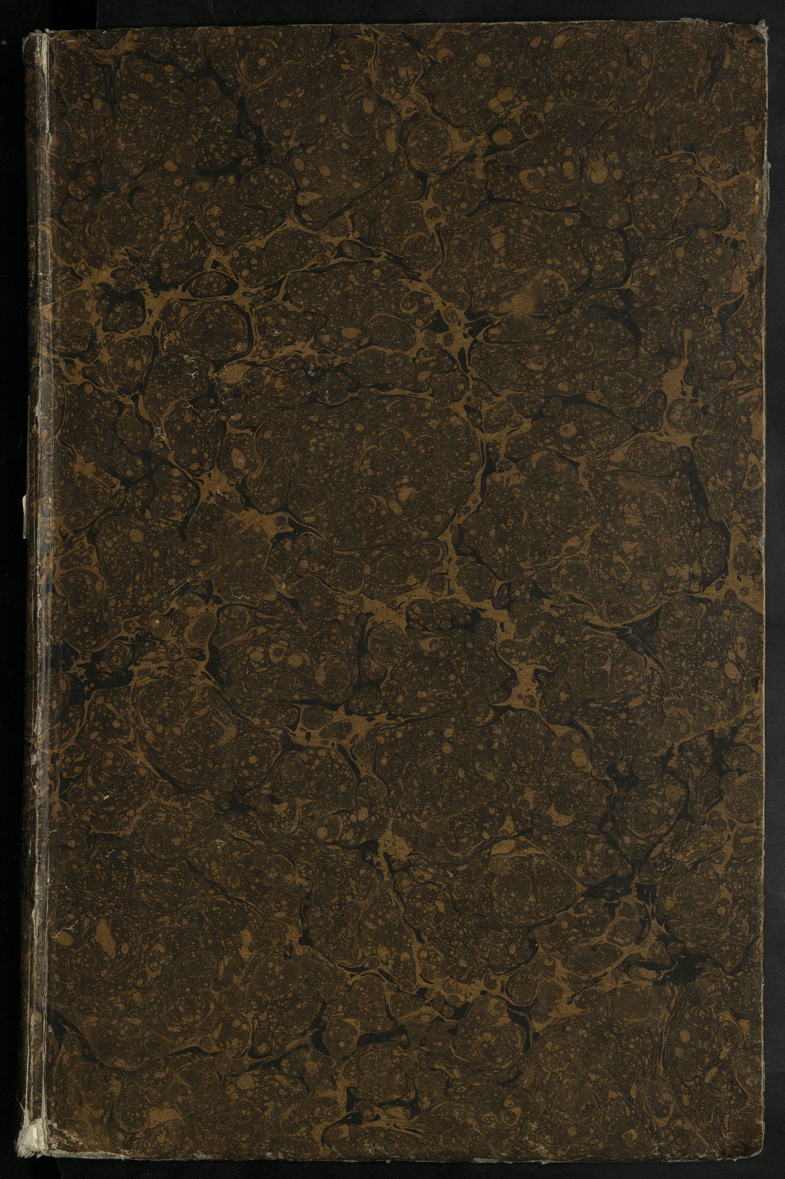 Изображение книги Летописец новый