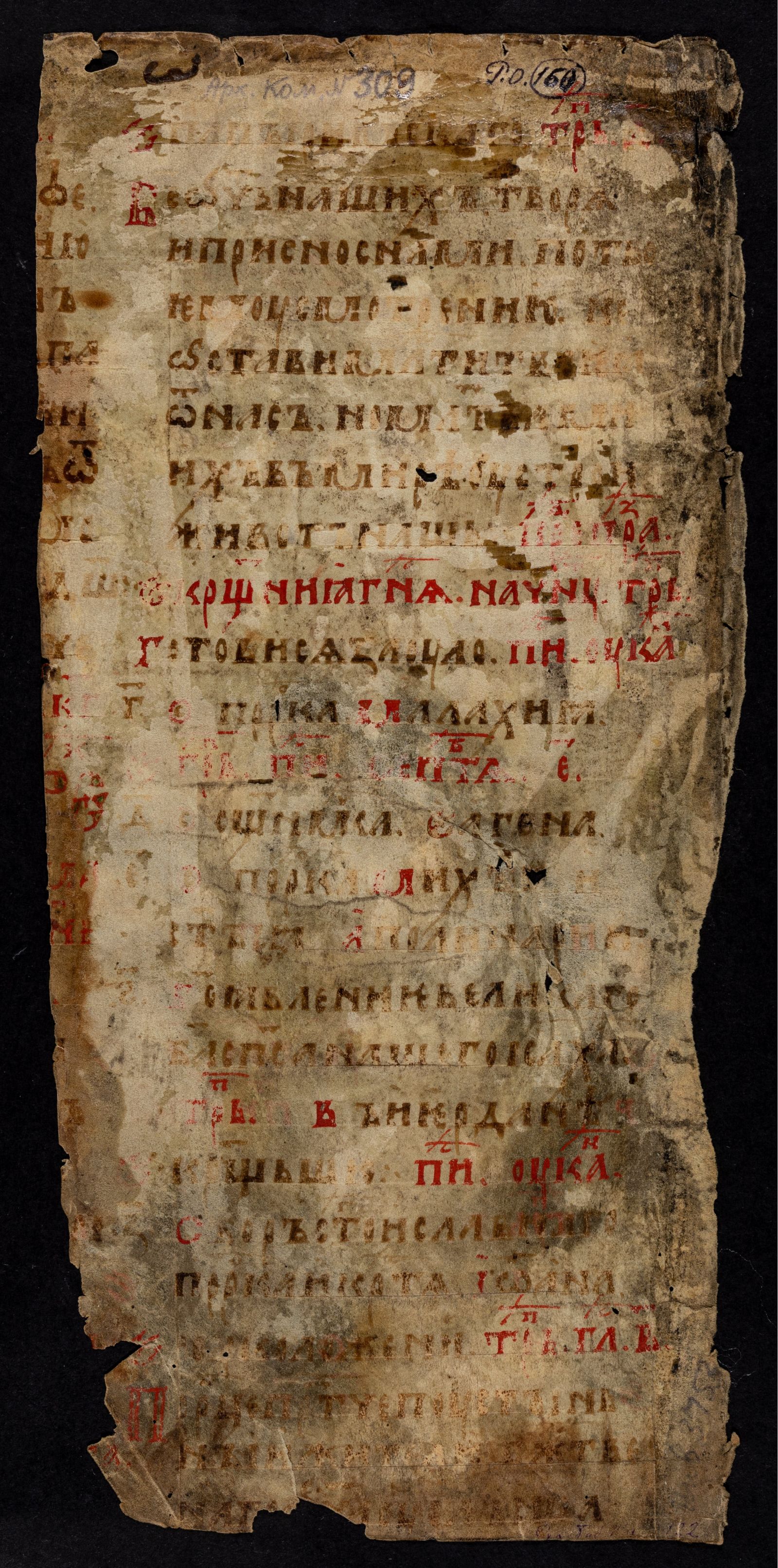 Изображение книги Устав церковный студийский, отрывок