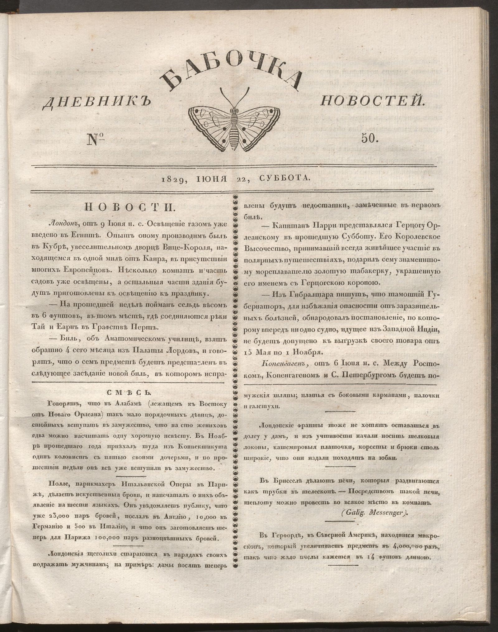 Изображение книги Бабочка : дневник новостей. 1829, № 50 (22 июня)