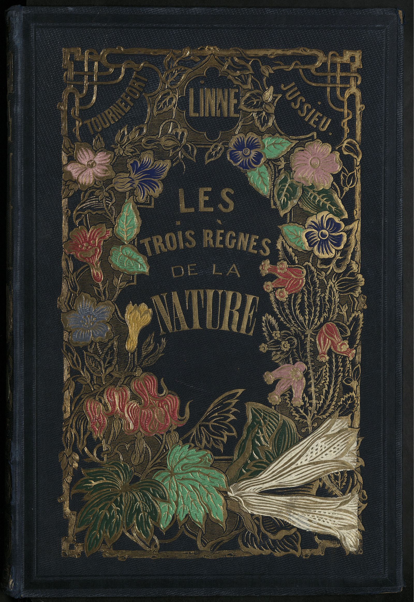 Изображение Три царства природы. Т.1