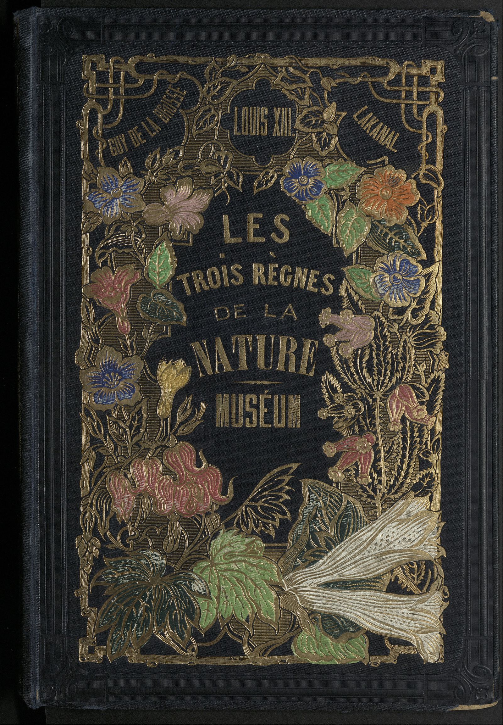 Изображение Les trois règnes de la nature. Le Muséum d'histoire naturelle